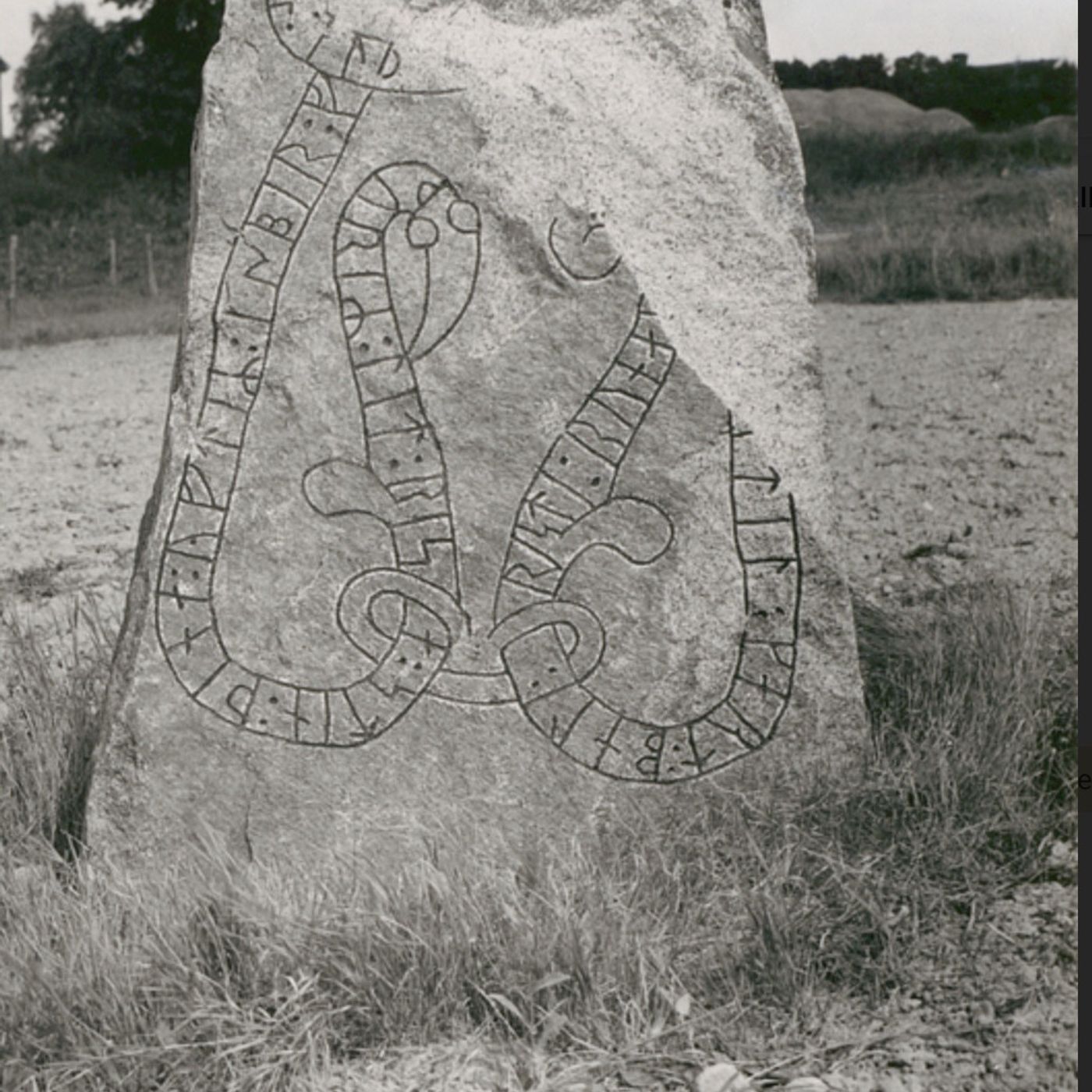 Eleanor Barraclough offers a poignant look at the Norse settlement of Greenland, founded by Eric the Red in 985 AD. At the Herjolfsness graveyard, well-preserved organic material reveals the coarse, patched clothing of 15th-century inhabitants, indicat