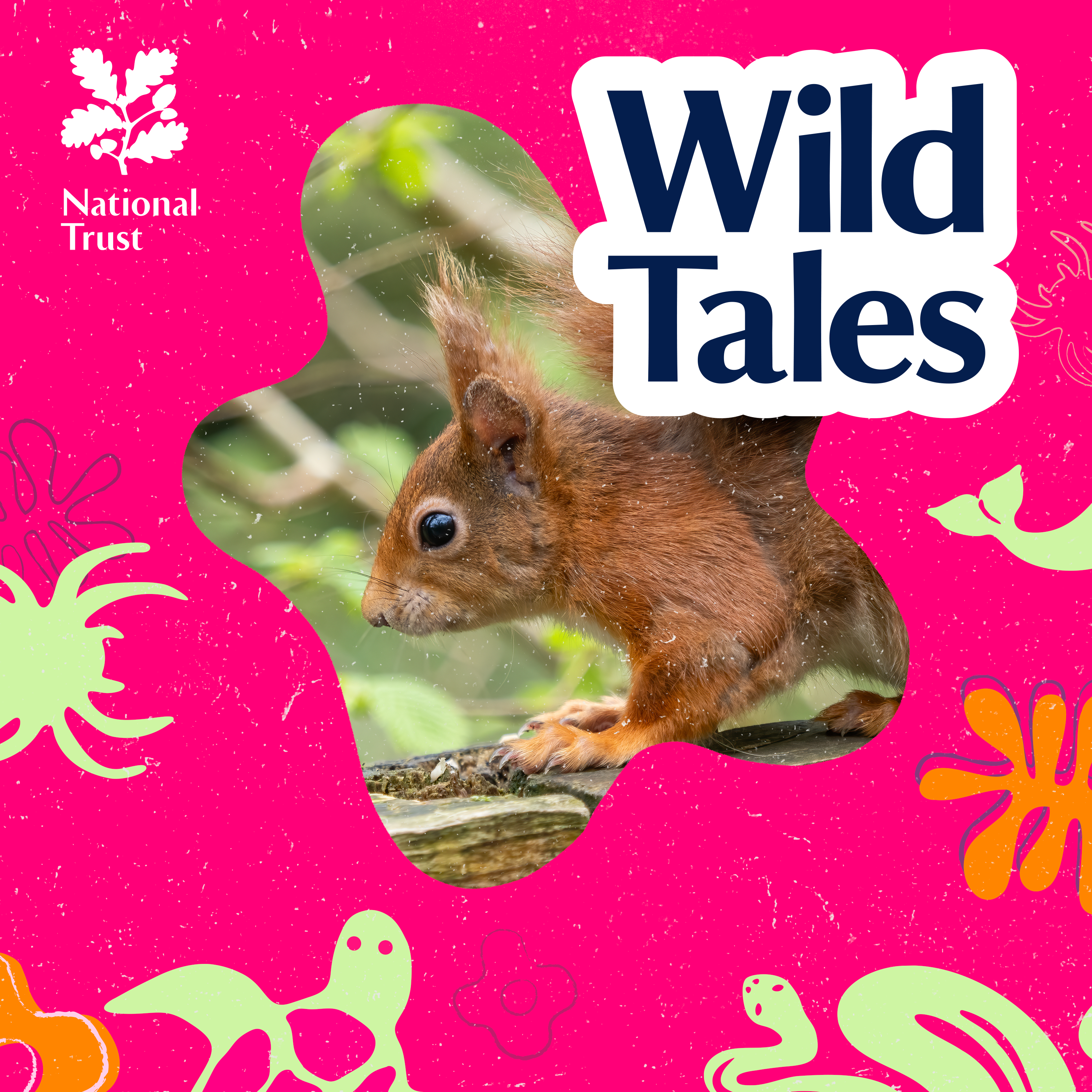 Operation Nutcracker | The Return of the Red Squirrel