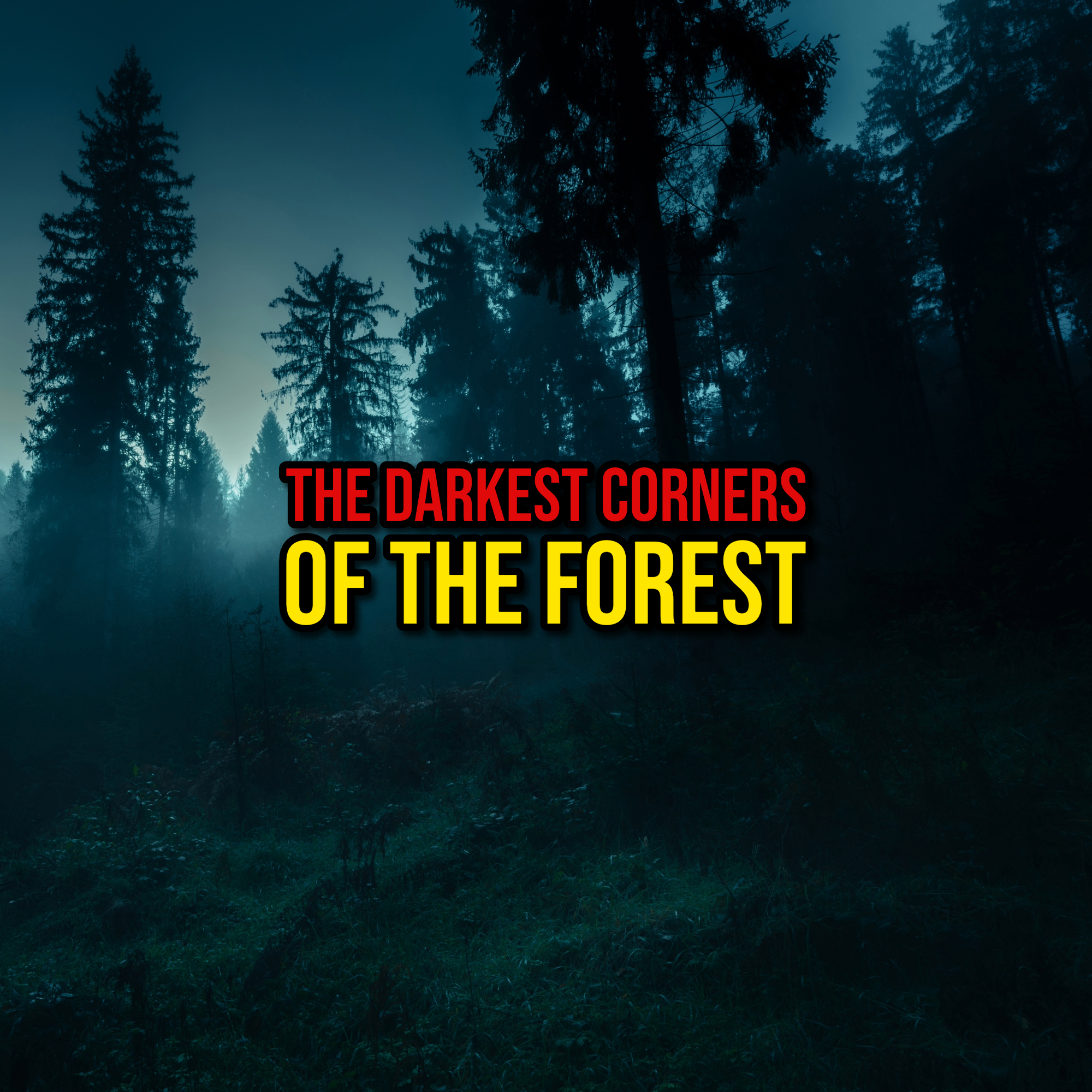 Episode 333: The Darkest Corners of The Forest