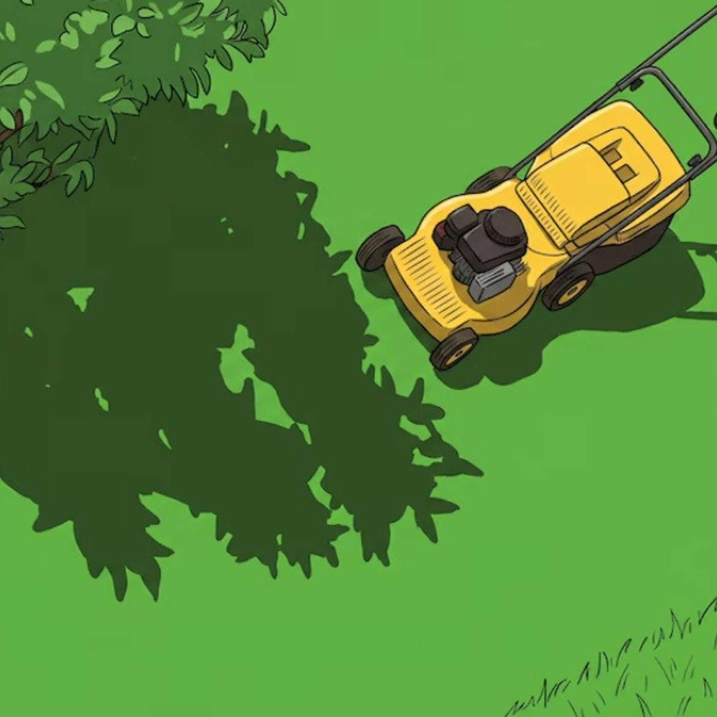 597: Podcast IA - Qué es el césped líquido, la nueva tendencia que promete transformar patios y jardines episode artwork