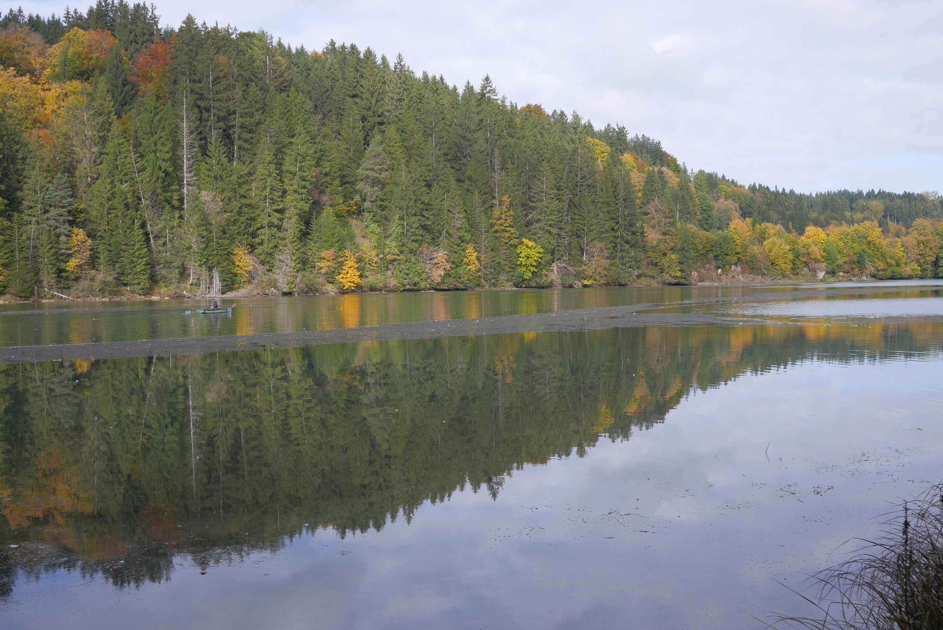 Idylle am Stausee