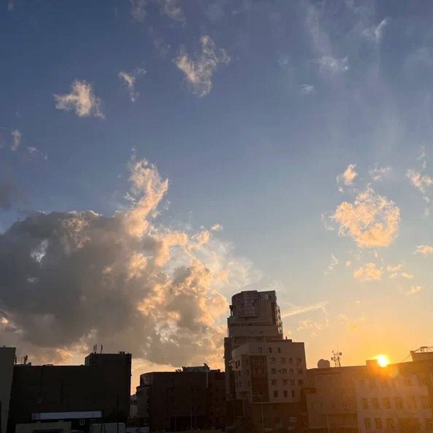 Birds sing on a summer evening in Yakutsk