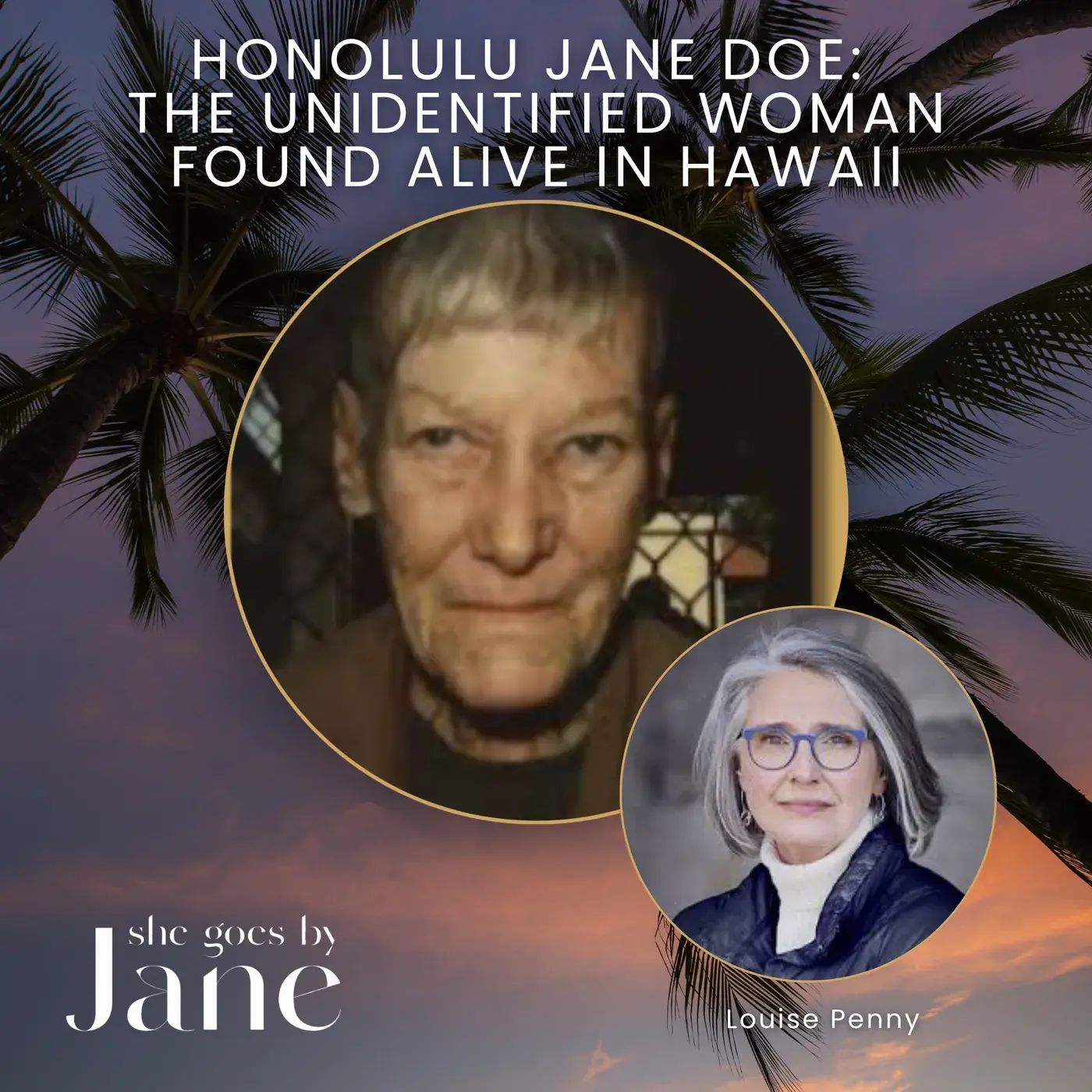 133: Honolulu Jane Doe: The Unidentified Woman Found Alive in Hawaii | Unsolved Case with guest reader Louise Penny episode artwork