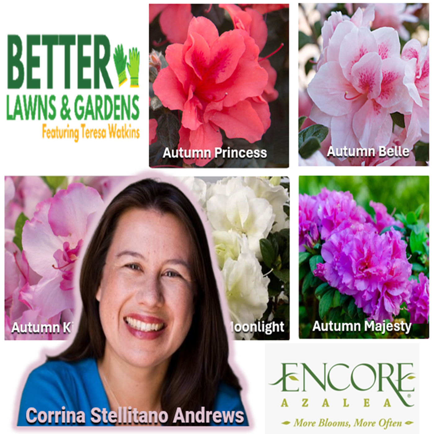 S2 Ep449: Better Lawns and Gardens - Hour 2 New Encore Azaleas! May 9, 2026 episode artwork