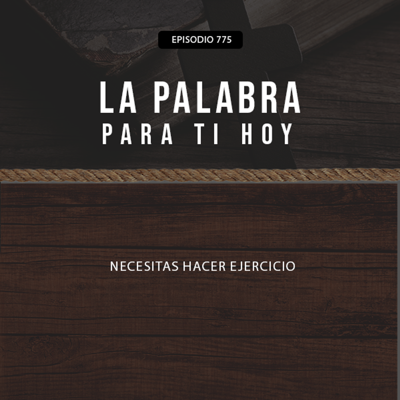 Necesitas hacer ejercicio episode artwork