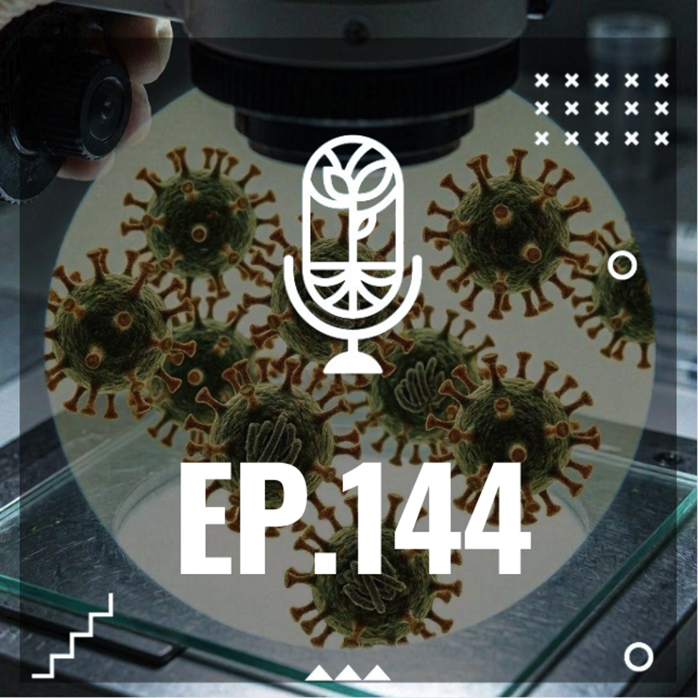 S3 Ep144: HANTAVIRUS episode artwork
