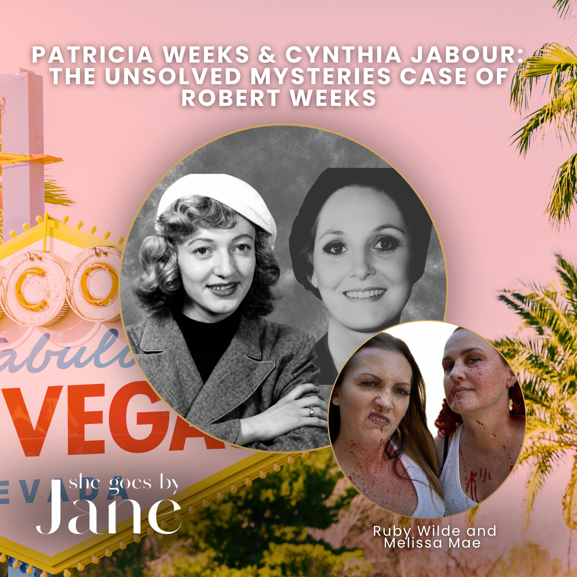 136: Patricia Weeks & Cynthia Jabour: The Unsolved Mysteries Case of Robert Weeks episode artwork