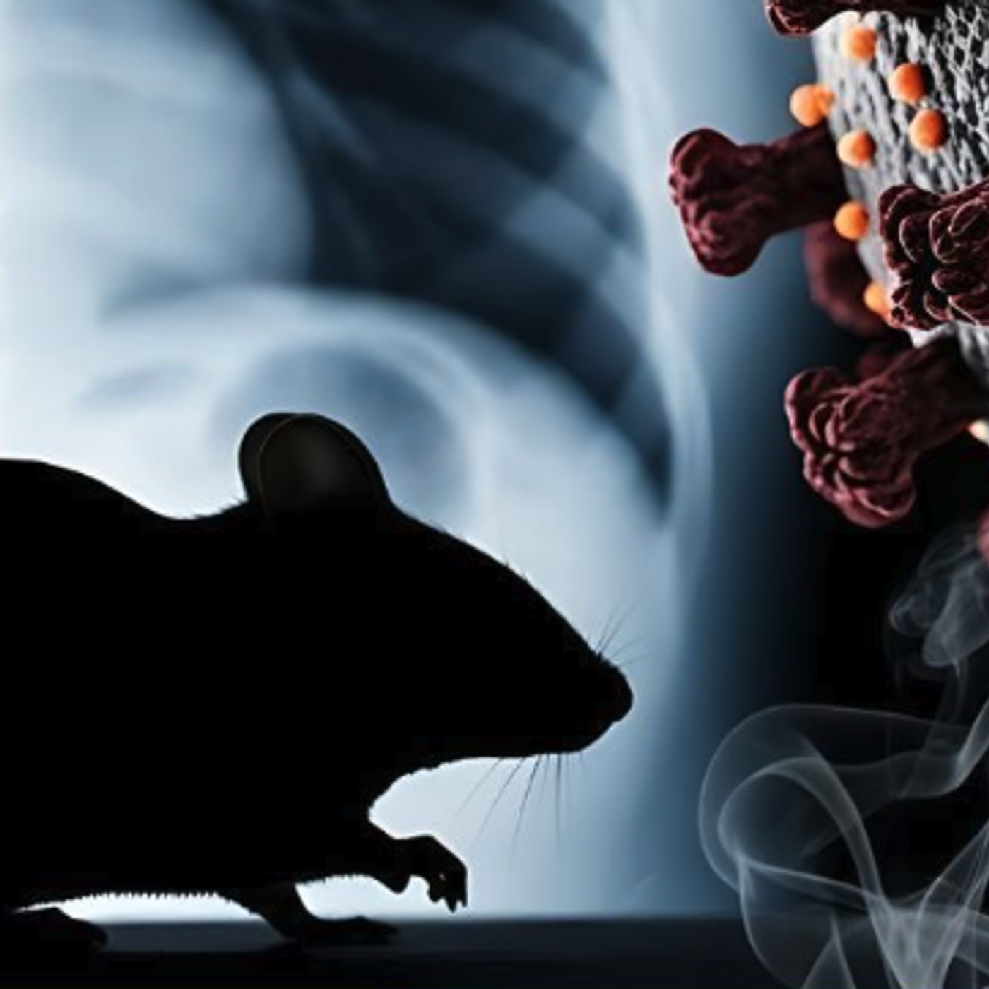 23: Hantavirus: A Podcast with Matthew Pullen, MD, an Infectious Disease Doctor