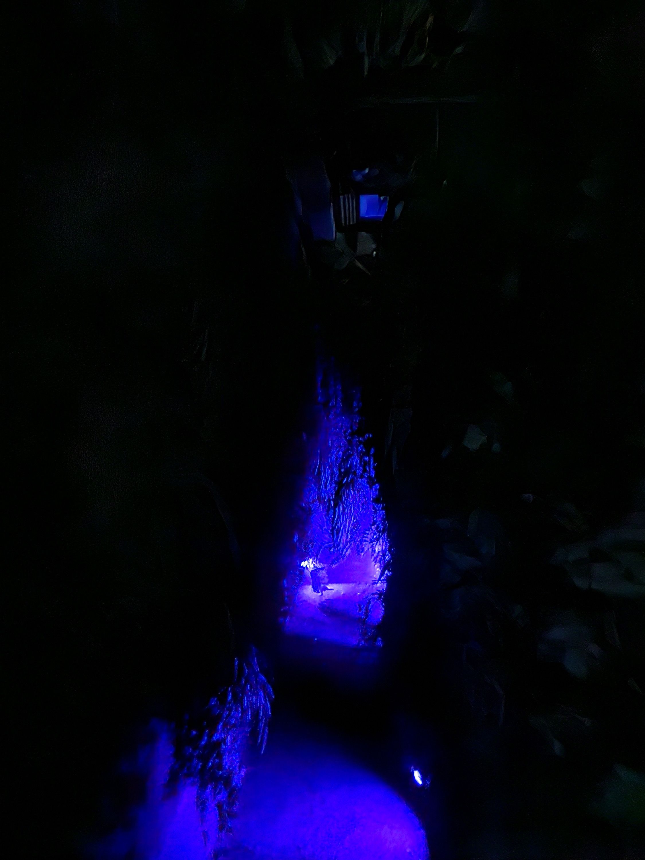 Artificial rainforest, Klimahaus museum episode artwork