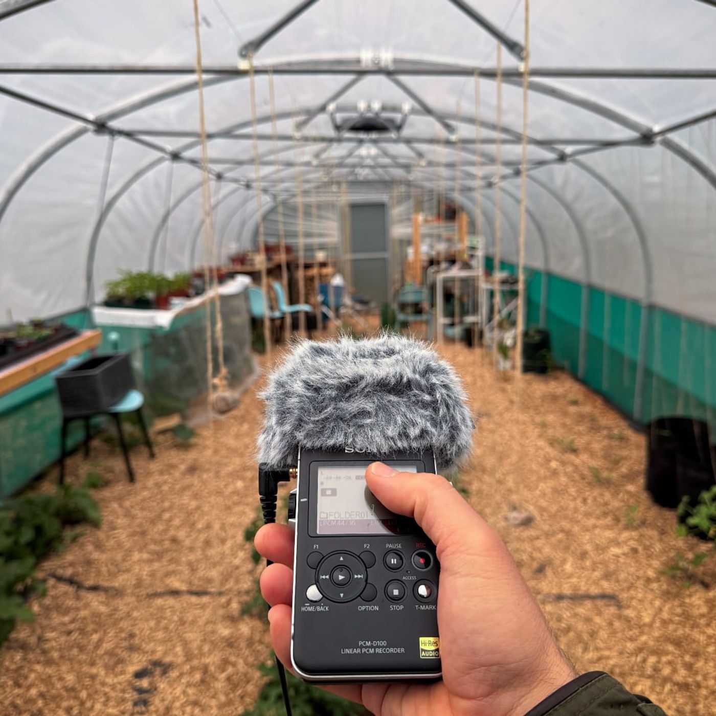 The Sound of Storm on Polytunnel episode artwork