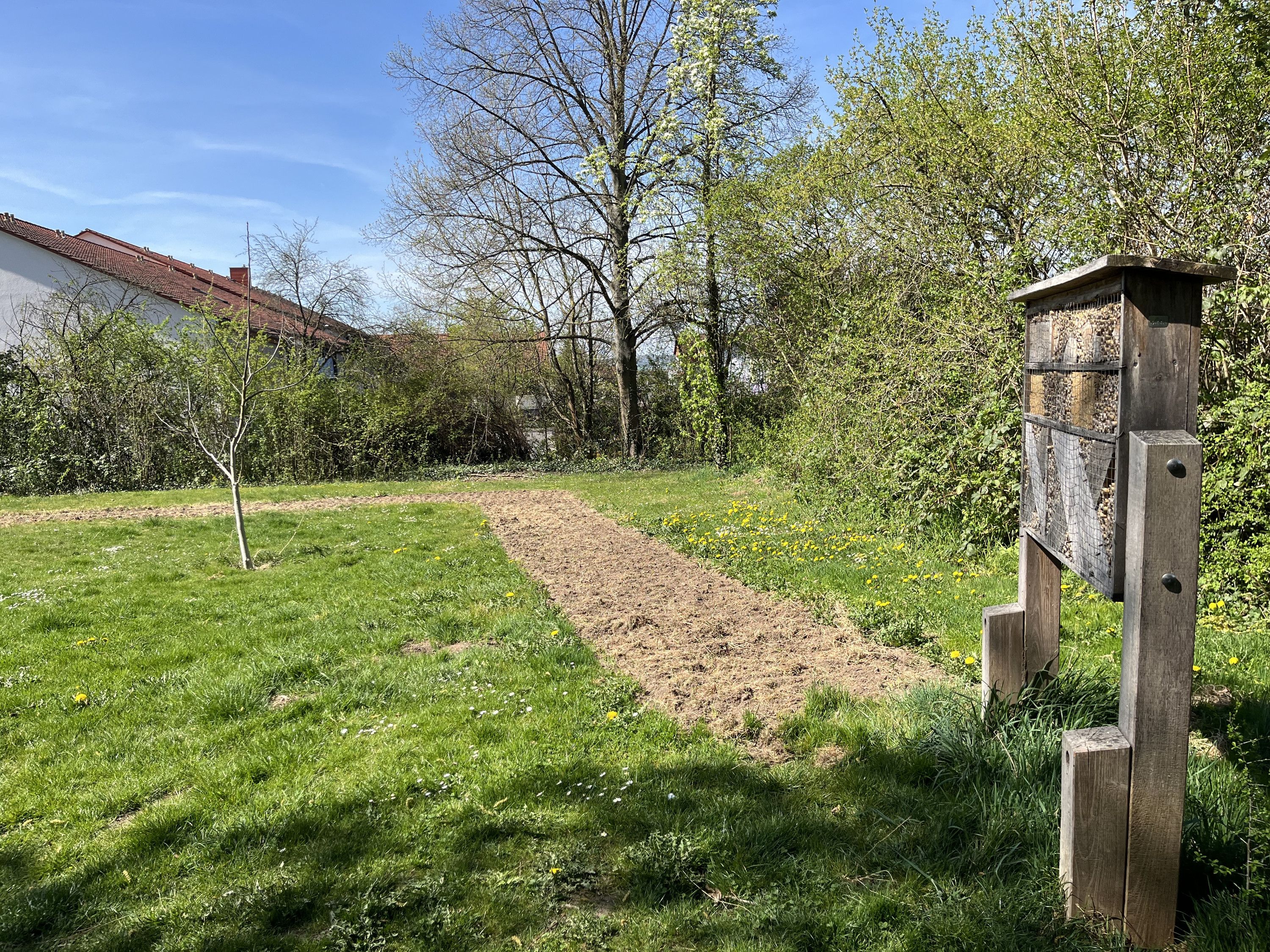 Insect hotel episode artwork