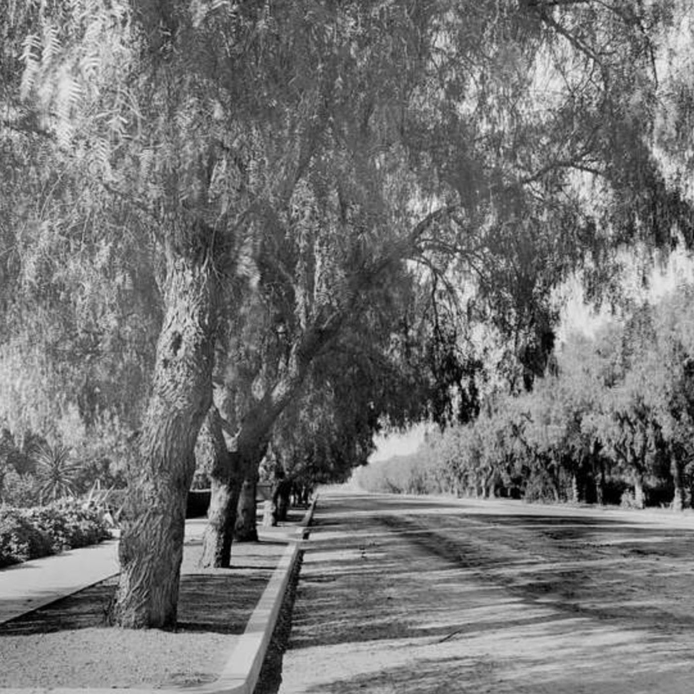 S8 Ep974: SCHEDULE JOHN BATCHELOR SHOW, 6-5-2026. 1900 ADAMS BOULEVARD LA. episode artwork