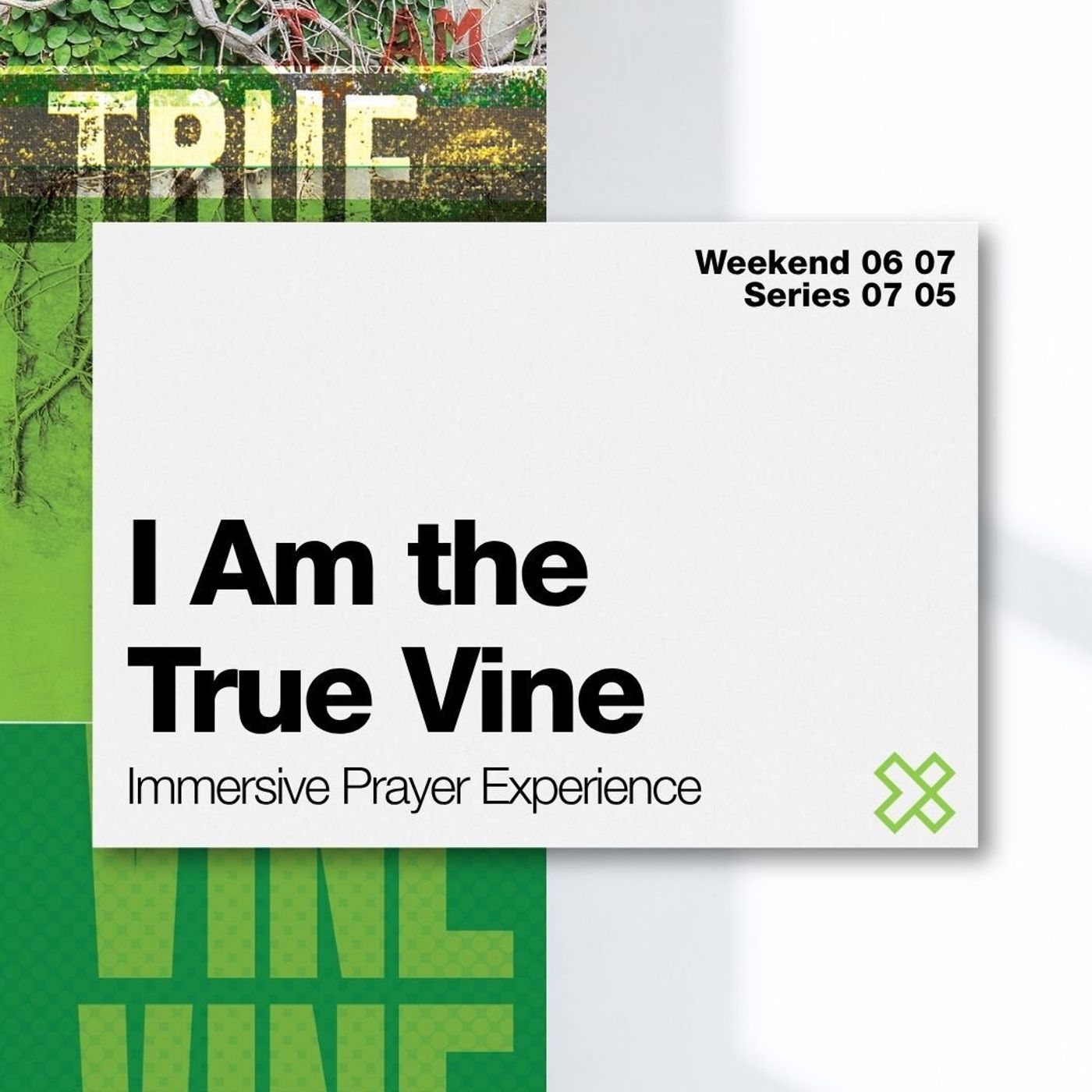 How to Bear Fruit: Staying Connected to the True Vine episode artwork