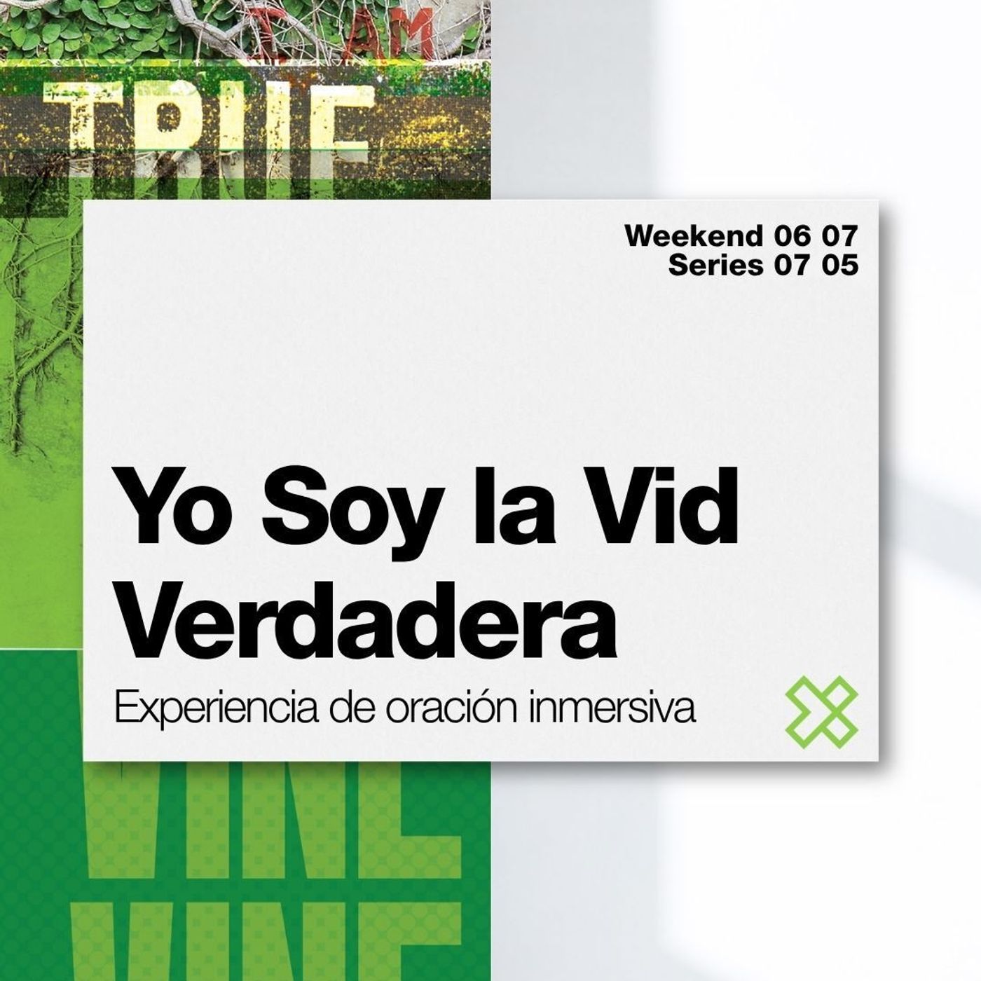 Yo Soy la Vid Verdadera episode artwork