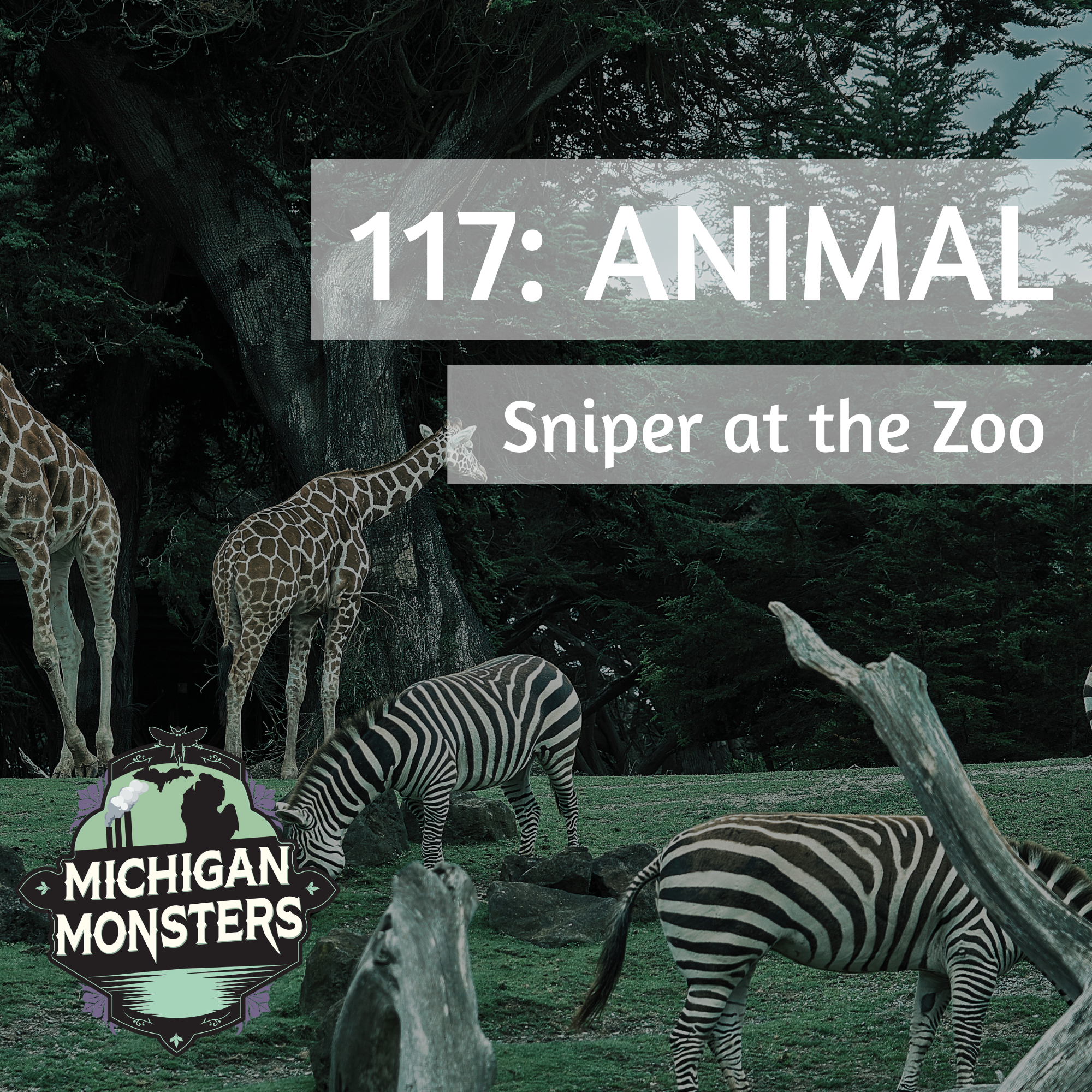 S6 Ep117: Animal