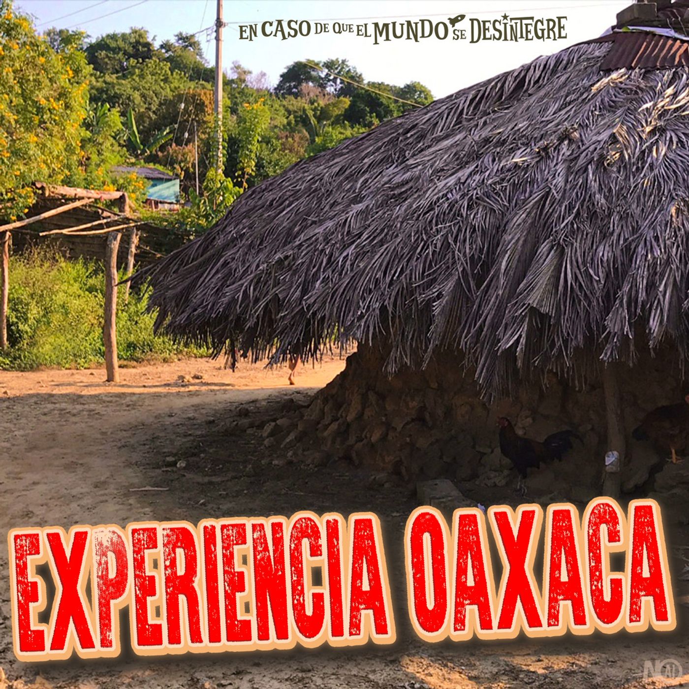 S28 Ep6330: Experiencia Oaxaca