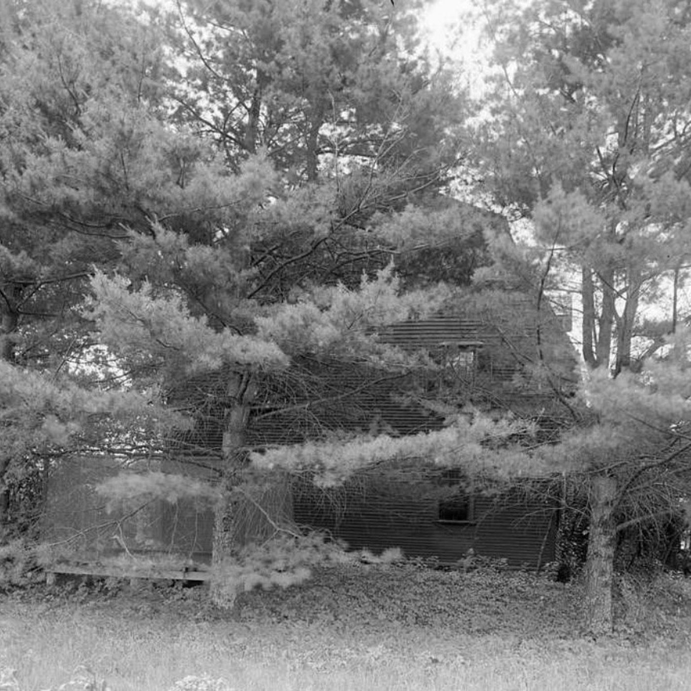 Thoreau's Performative Solitude at Walden Pond. Guest: Bruce Nichols. Henry David Thoreau built his famous cabin on land owned by Ralph Waldo Emerson. Contrary to his image as a total hermit, Thoreau was quite social, often walking into town for fresh-coo episode artwork