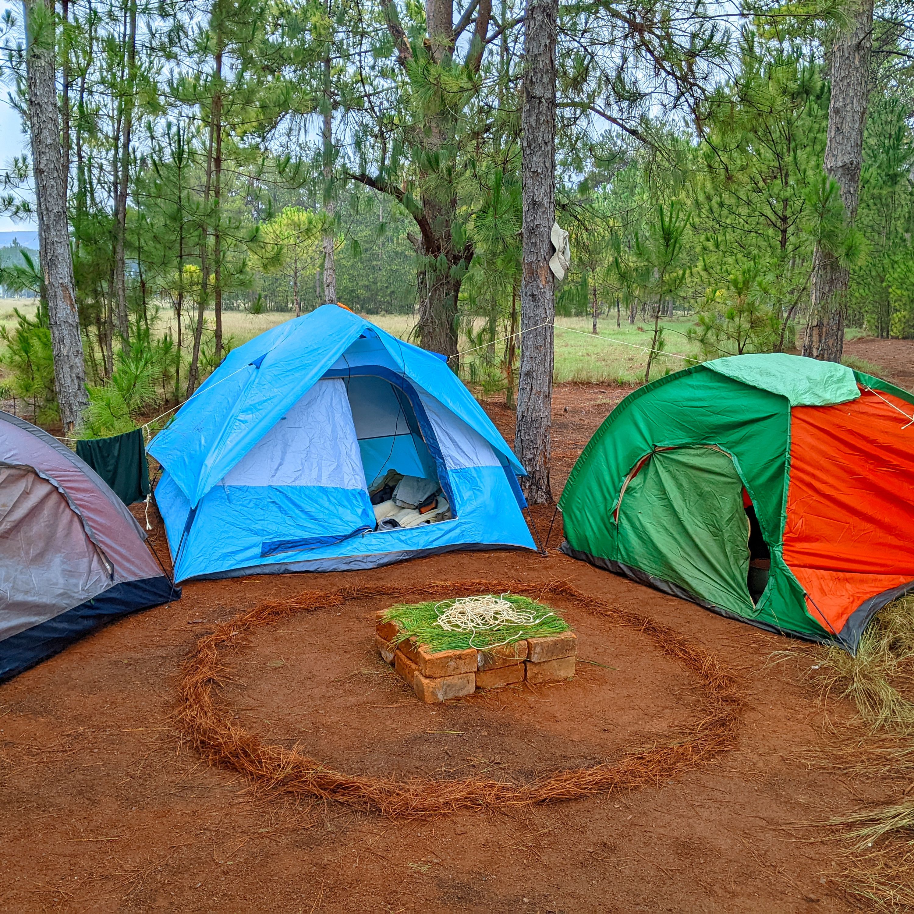 S3 Ep729: Vanaf de camping (vakantie) S3E729 episode artwork