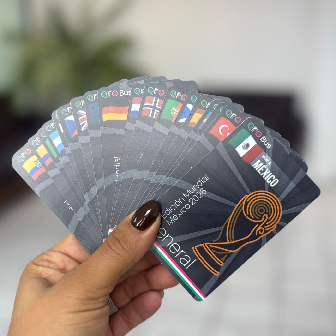 Analizan dar premio al usuario que junte las 48 tarjetas del QroBús conmemorativas del Mundial: Cuanalo episode artwork