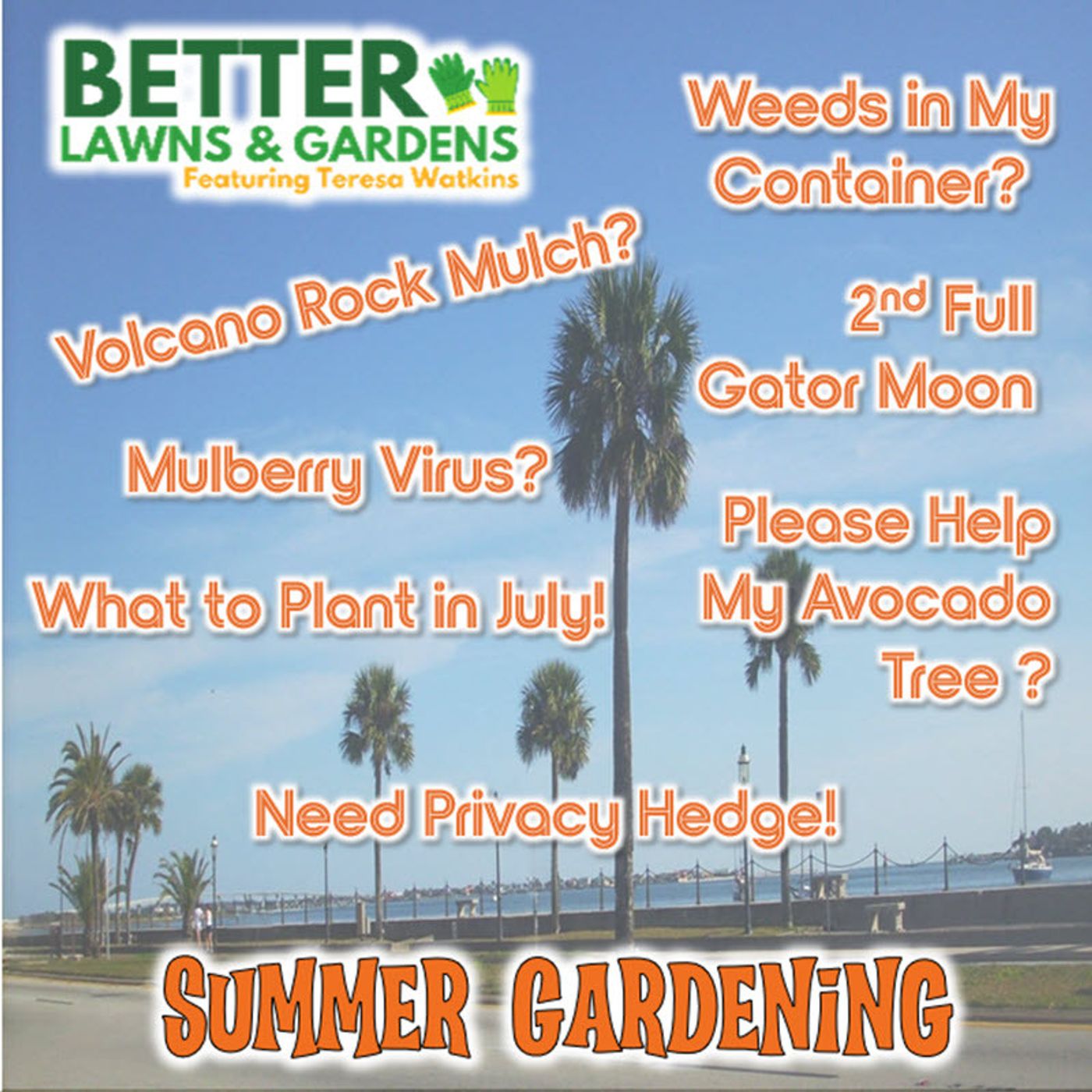 Better Lawns and Gardens - Hour 1 Summer Gardening June 27, 2026