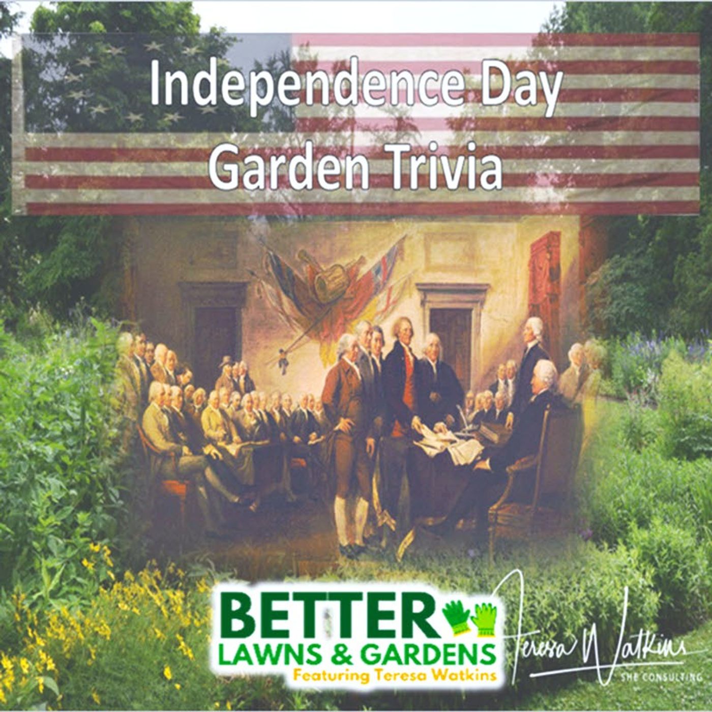 Better Lawns and Gardens - Hour 2 Gardening with the Fourth of July June 27,2026