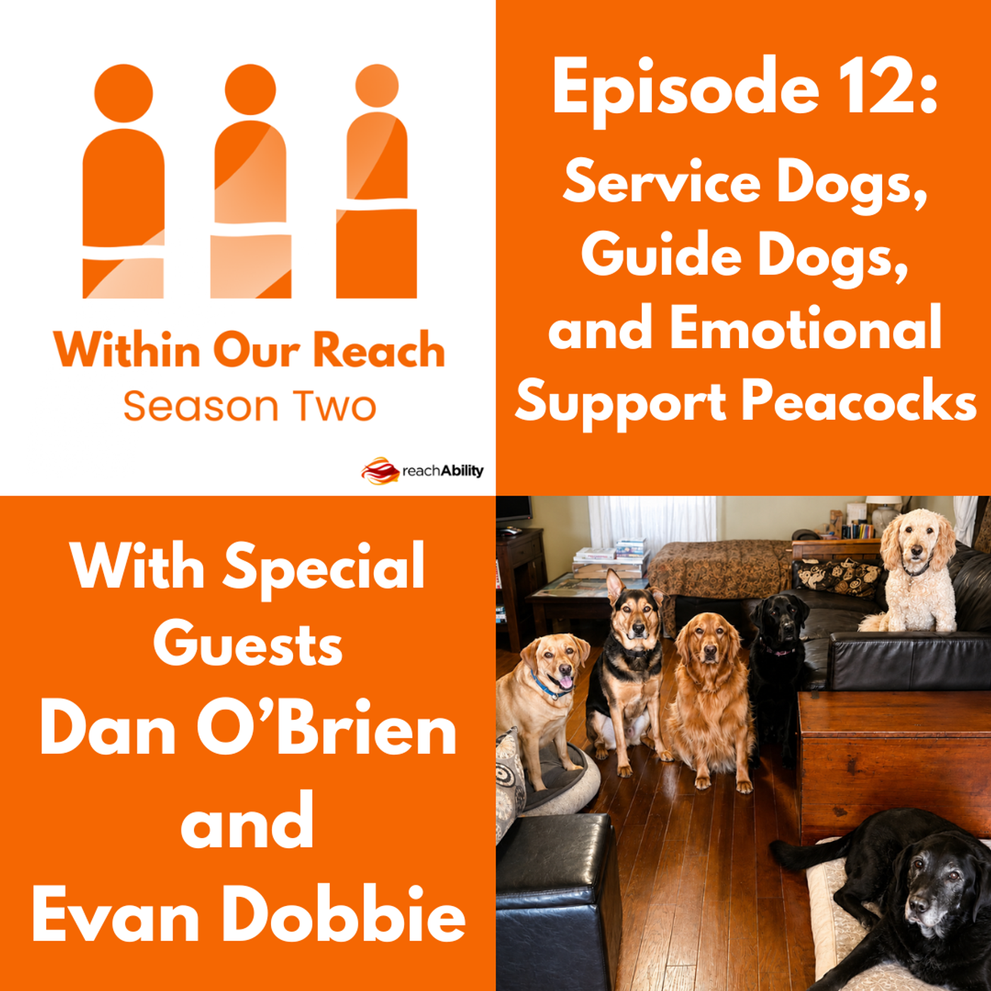 S2 Ep12: Service Dogs, Guide Dogs, and Emotional Support Peacocks with Dan O’Brien and Evan Dobbie