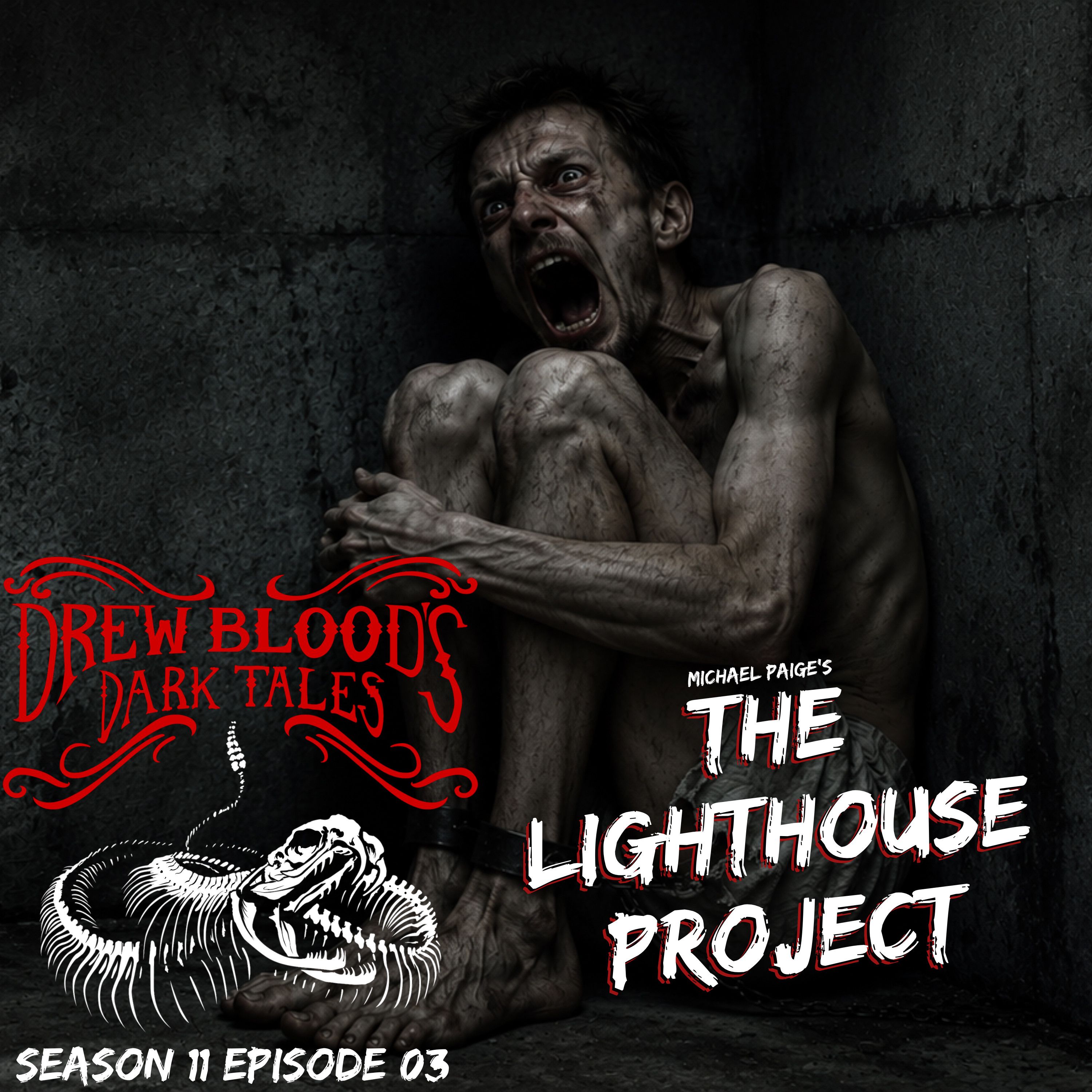S11 Ep3: S11E03 - "The Lighthouse Project" - Drew Blood's Dark Tales Podcast episode artwork