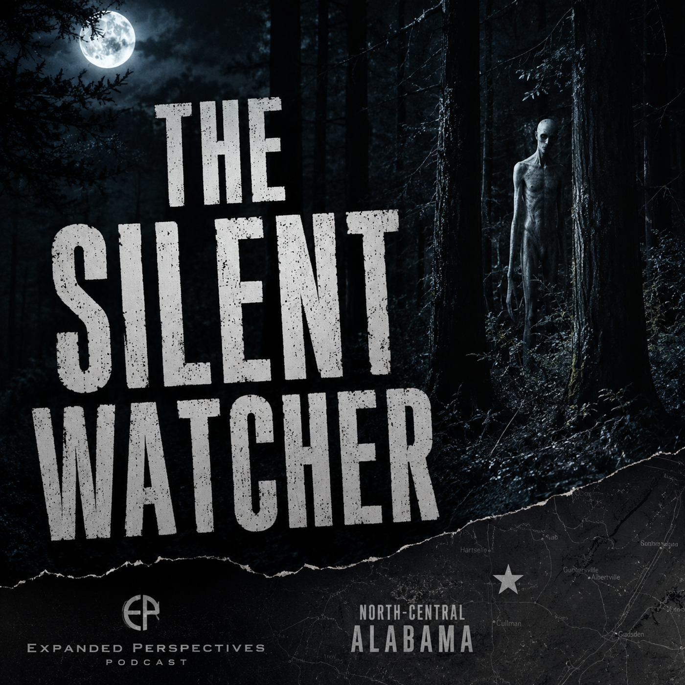 The Silent Watcher