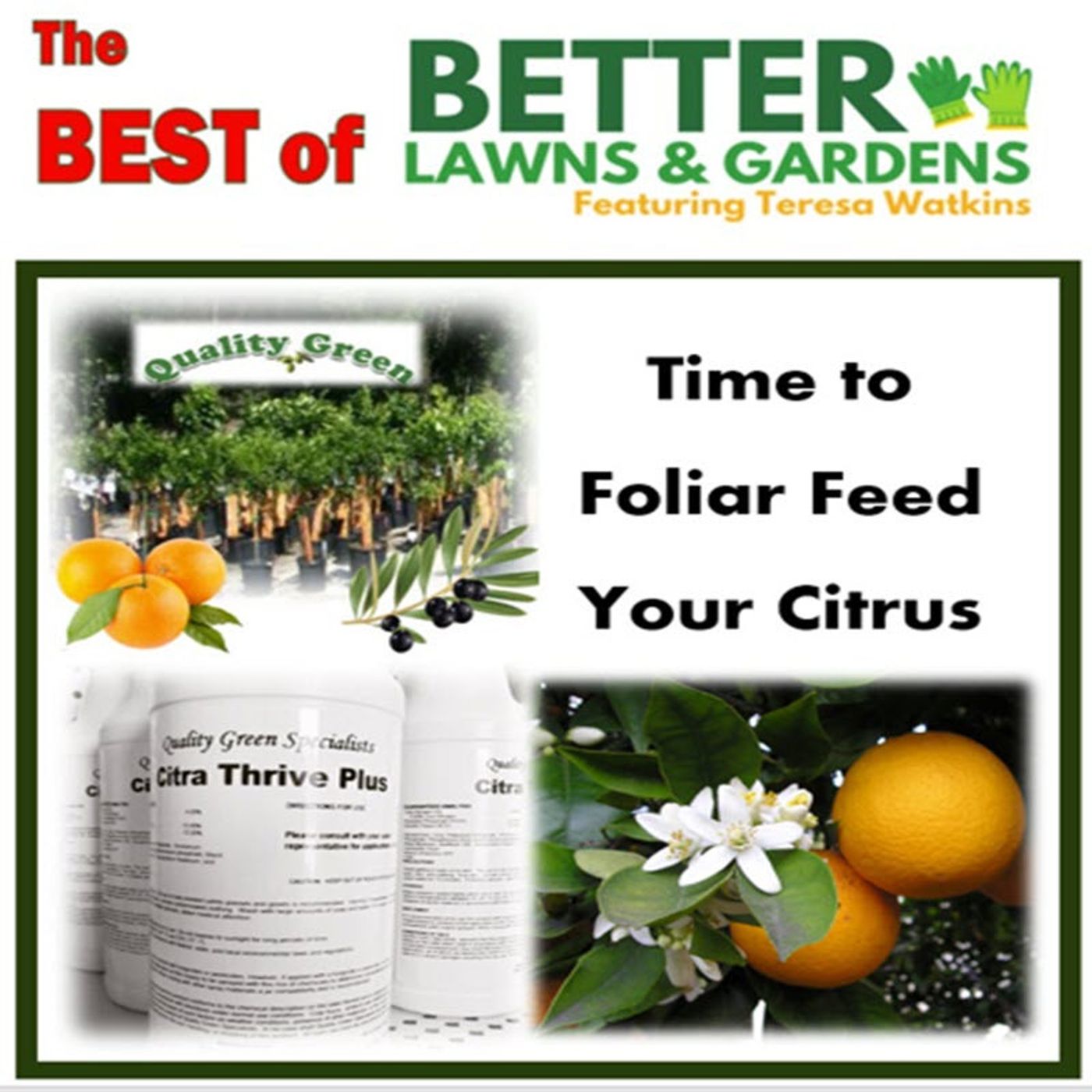 Best of Better Lawns and Gardens - Hour 1  Citrus Foliar Feeding July 4, 2026