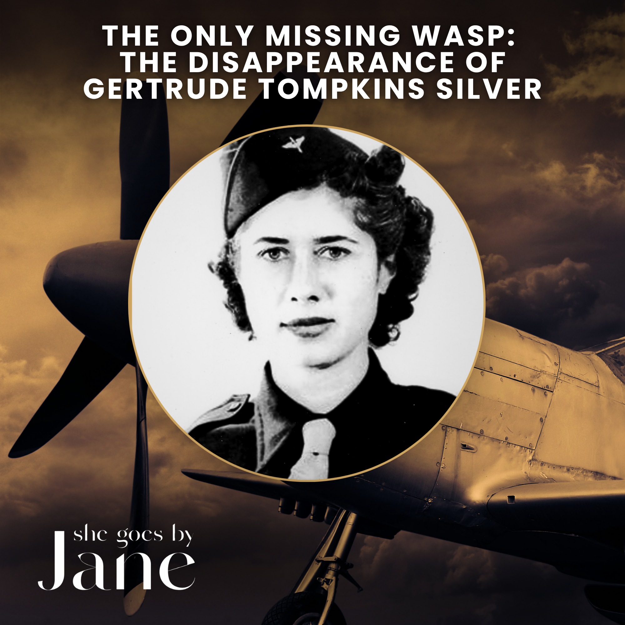 142: The Only Missing WASP: The Disappearance of Gertrude Tompkins Silver episode artwork