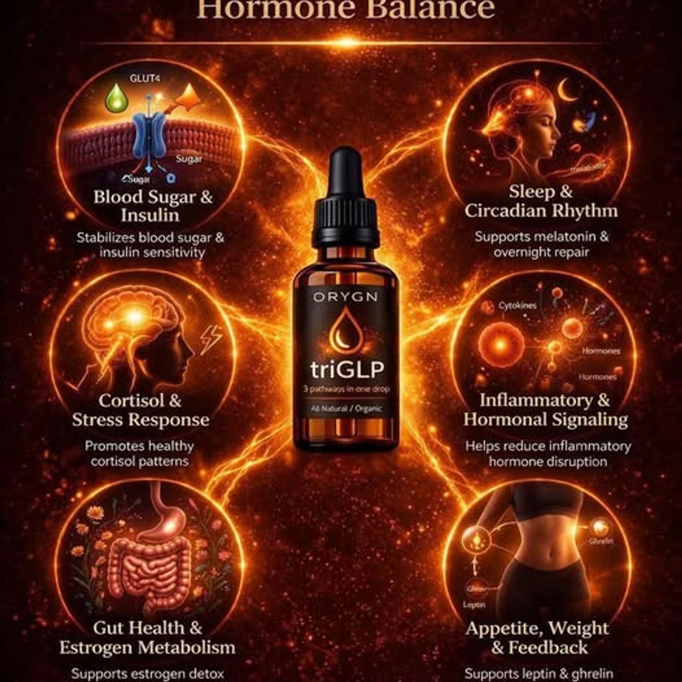395: GLP1 GLP2 and GIP Peptides in 90 seconds - why it's the bomb for fat burning!! episode artwork