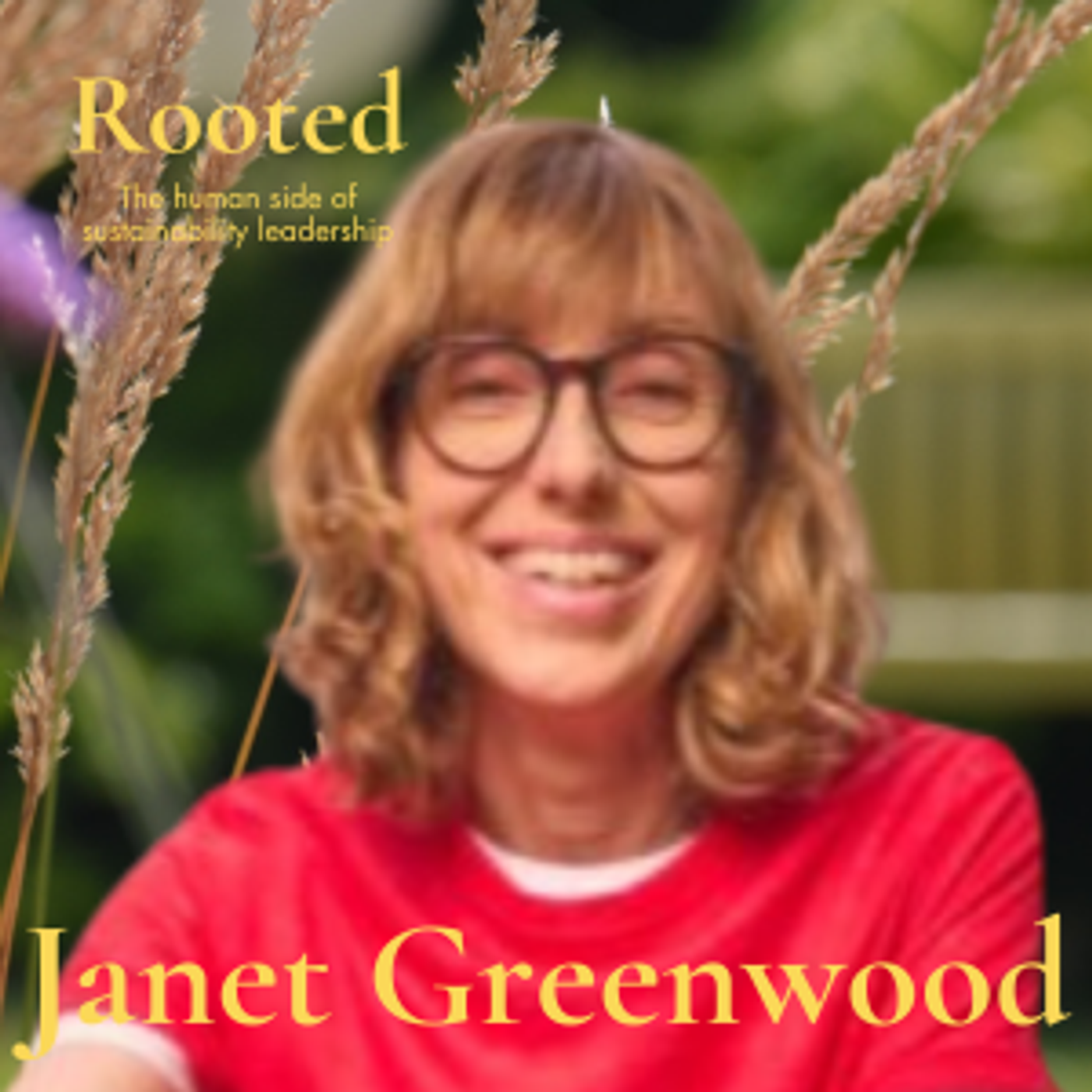 12: Systems thinking, courageous leadership & making a bigger impact, with Janet Greenwood, former Global Lead for Sustainable Infrastructure at KPMG episode artwork