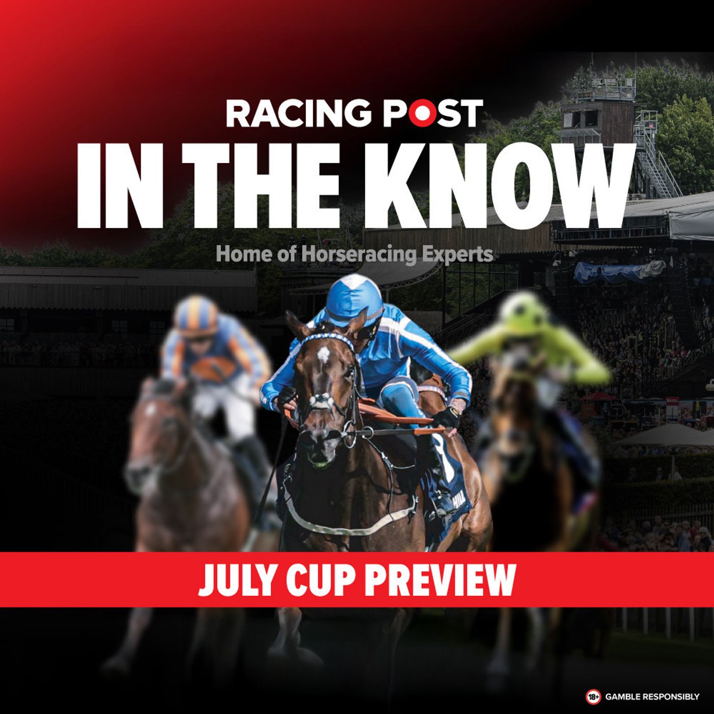 Super Saturday Preview Show | In The Know | Horse Racing Tips from Paul Kealy & Tom Segal episode artwork