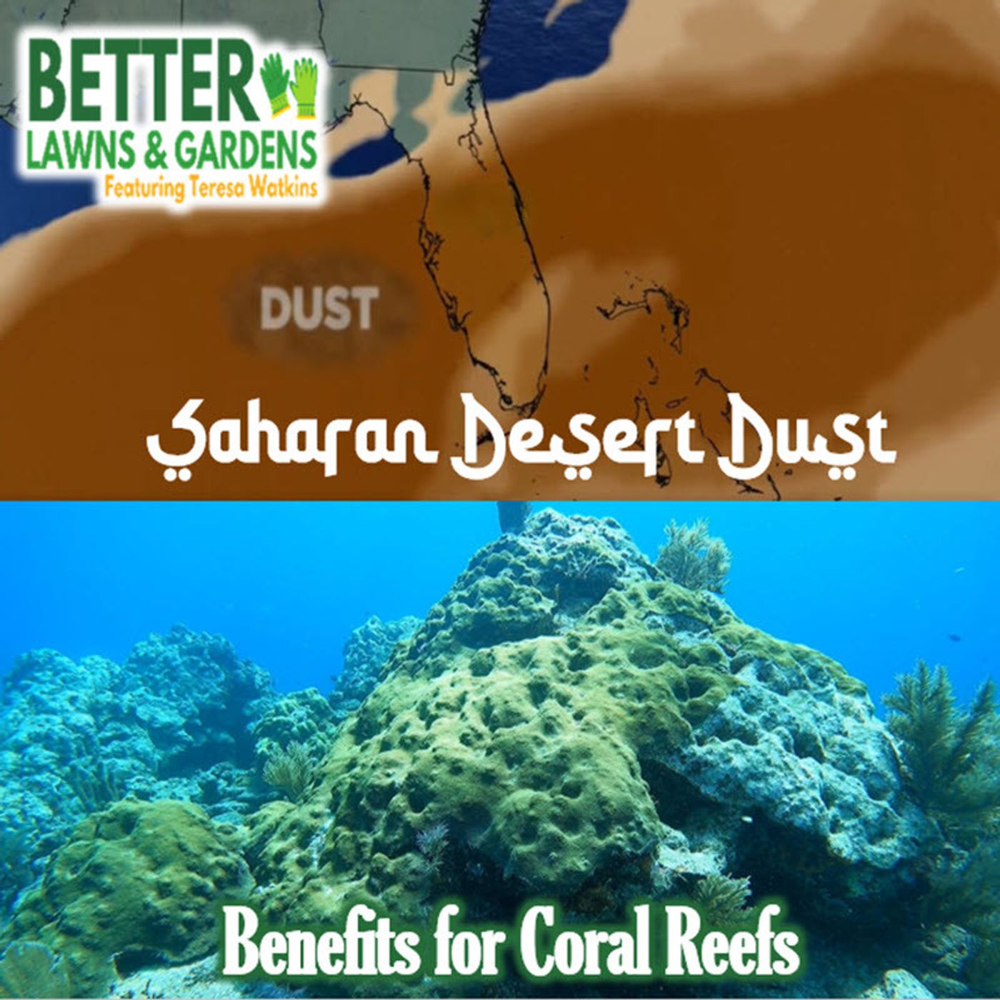 S2 Ep465: Better Lawns and Gardens - Hour 2 Sahara Desert Dust and Coral Reefs July 11, 2026 episode artwork