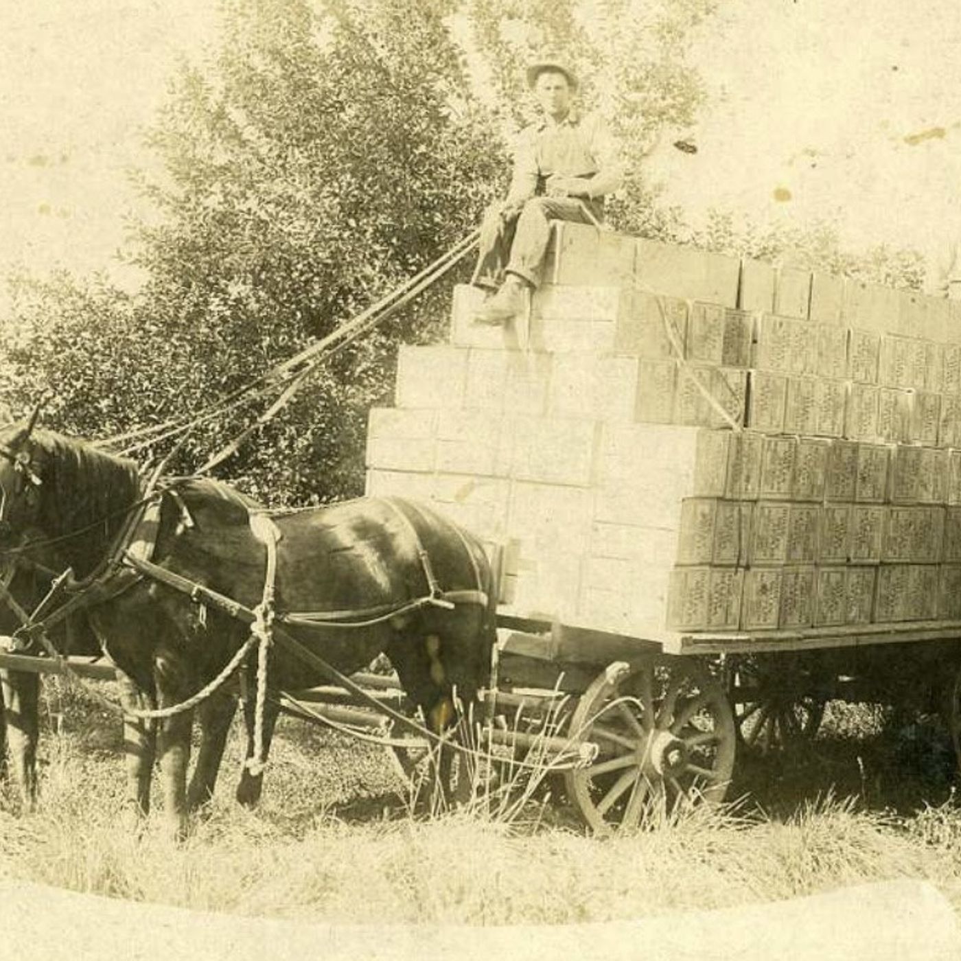 S8 Ep1176: SCHEDULE THE MAKING OF THE JOHN BATCHELOR SHOW, 7-28-26.  1900 IDAHO