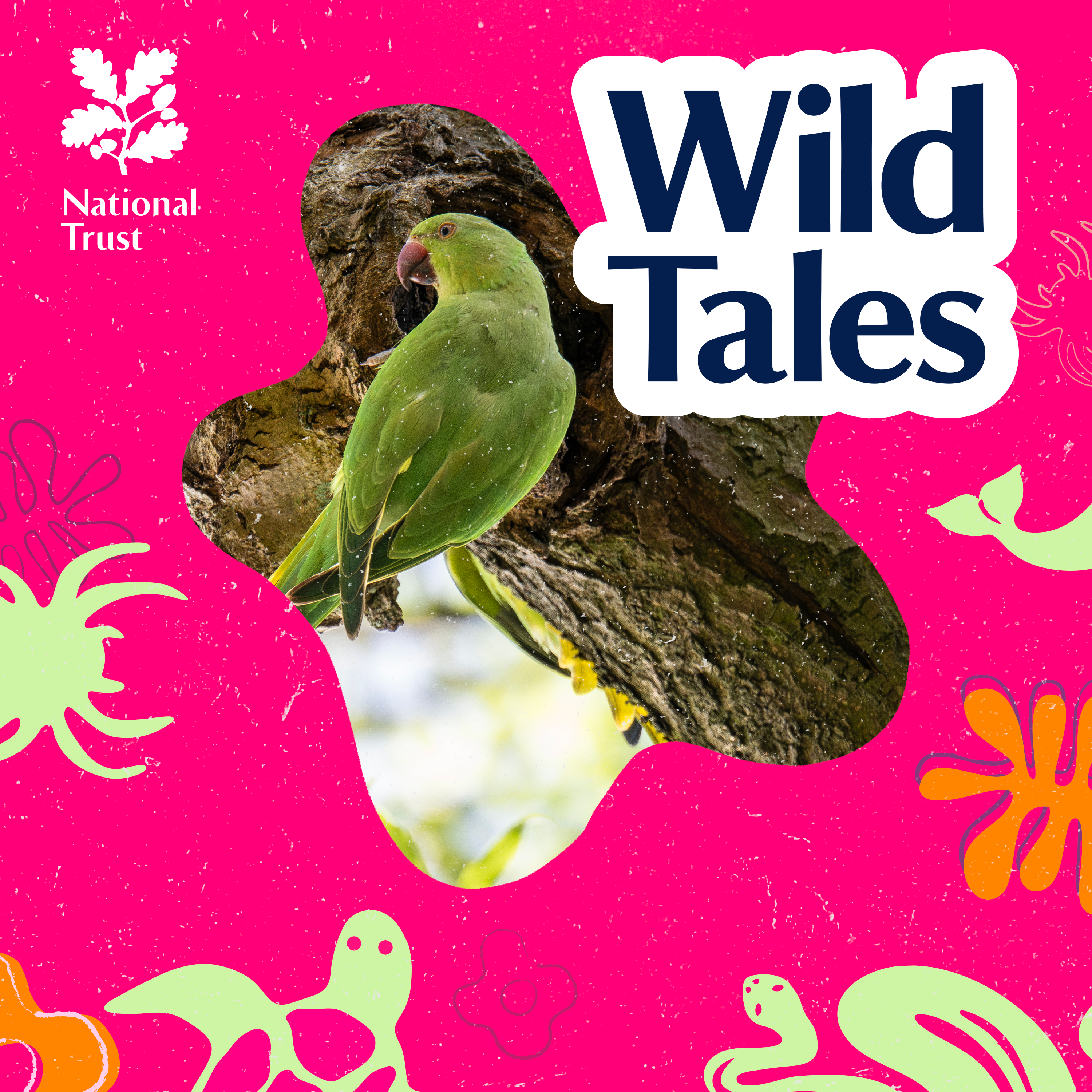 The London Parakeet Mystery