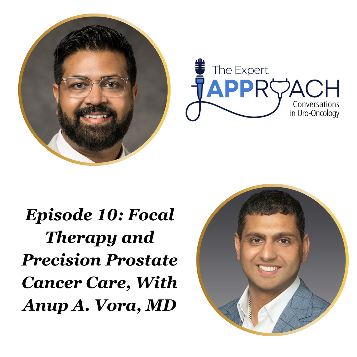 The Expert APProach: Focal Therapy and Precision Prostate Cancer Care, With Anup A. Vora, MD episode artwork