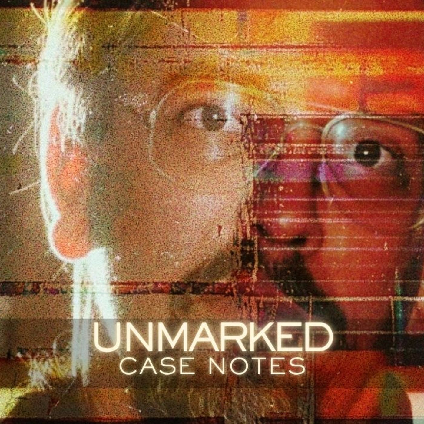 Defendants Have Tried to Kill Me — A Forensic Psychologist Explains the Job  | Case Notes