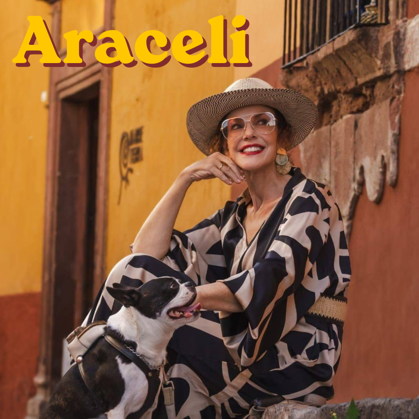 S22 Ep325: 325: Interview: Araceli Kopiloff ~ The Miracle of Keeping Going After Tragic Loss! episode artwork
