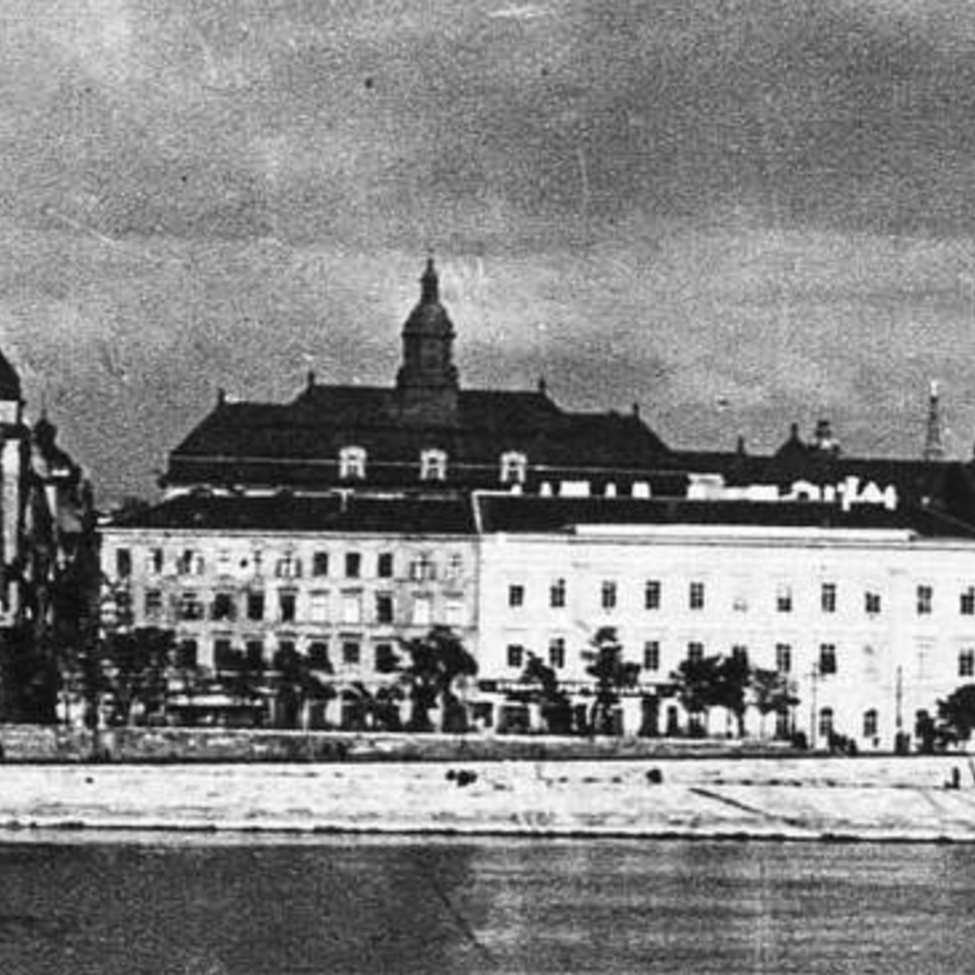 S8 Ep1146: Matthew Longo, The Picnic: A Dream of Freedom and the Collapse of the Iron Curtain. The focus shifts from political elites to young activists in the Hungarian "borderlands." In late June 1989, inspired by a speech from Otto von Habsburg, a young woman nam