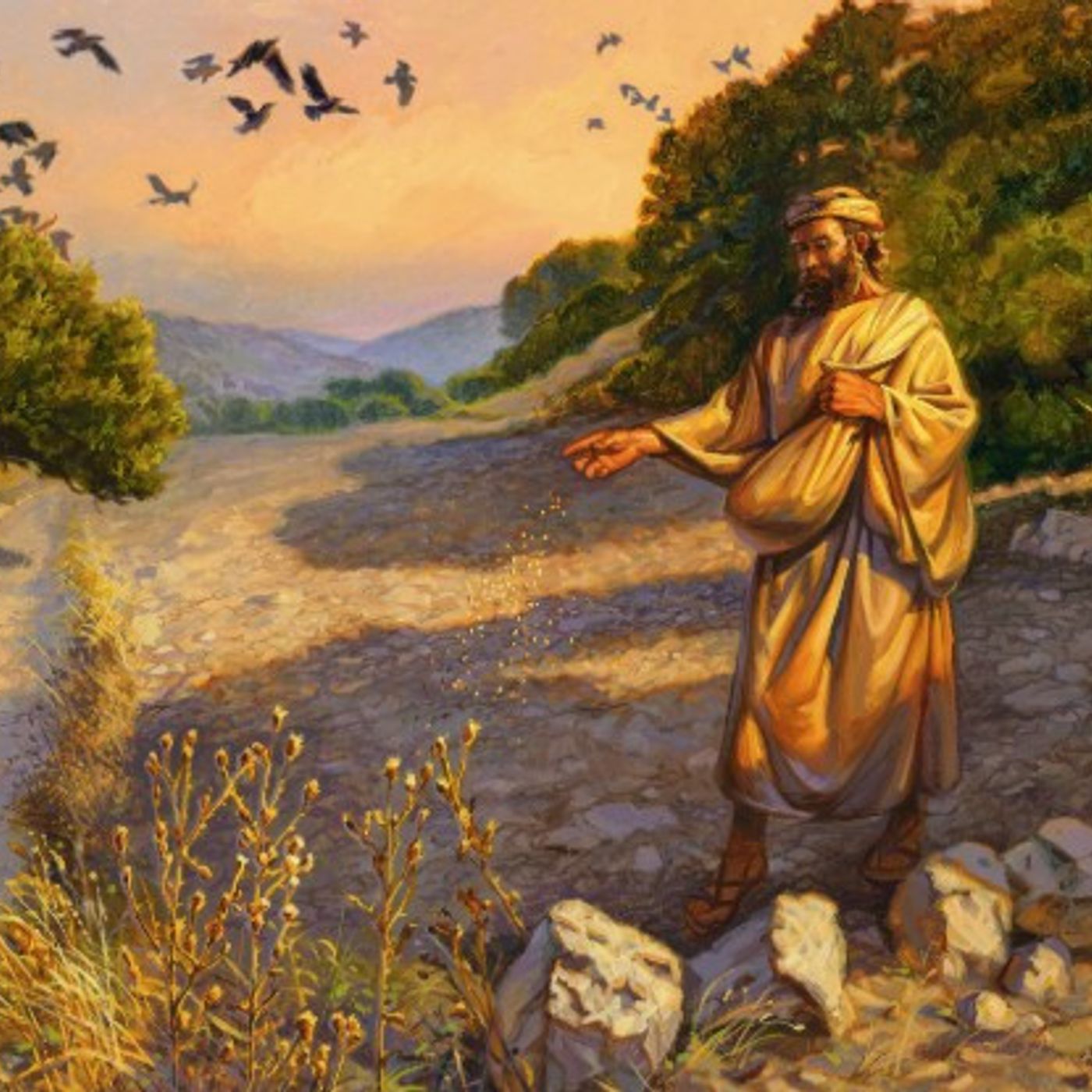 S2 Ep9: EP 9 - THE PARABLE OF THE SOWER episode artwork