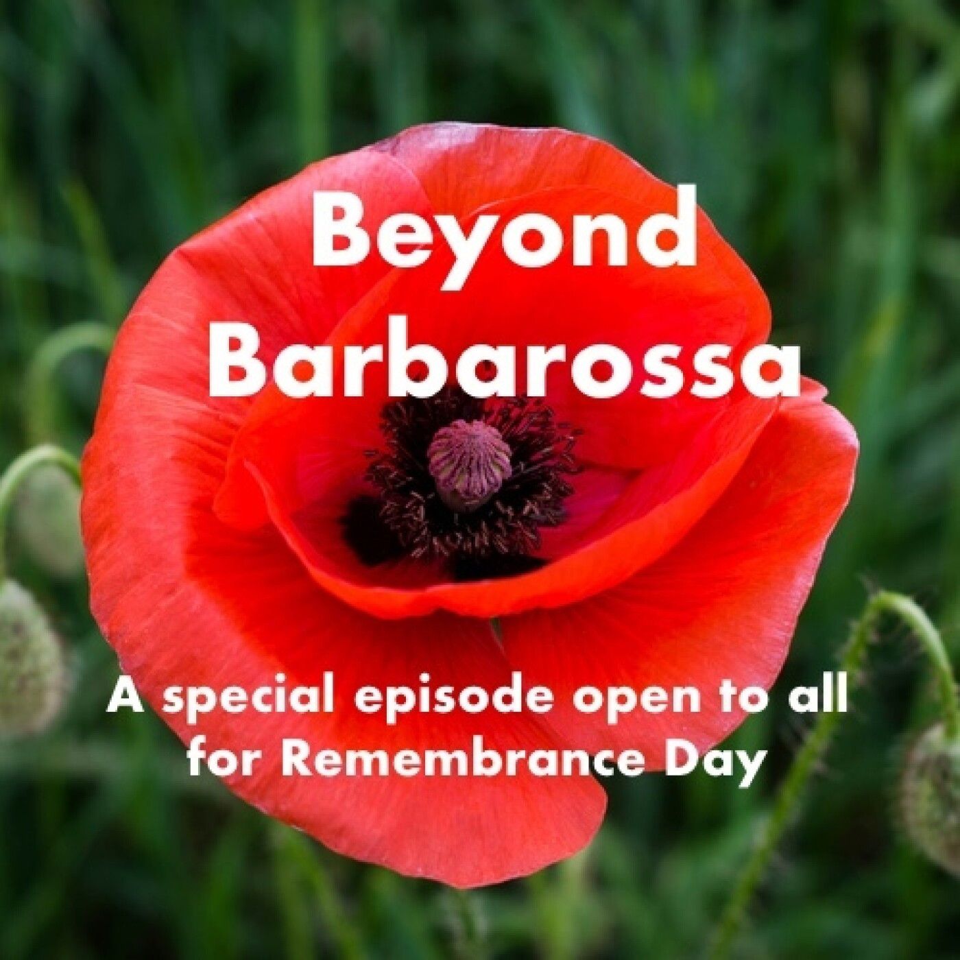 S3 Ep9: In honour of Remembrance Day 2024: A special Beyond Barbarossa episode