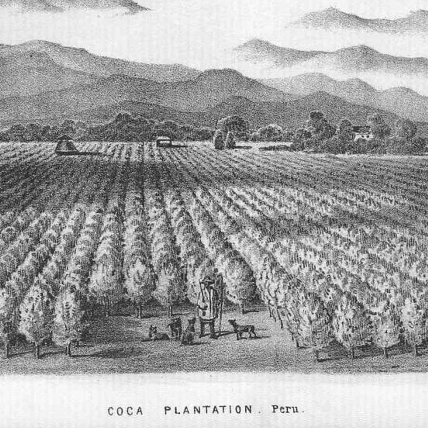 S8 Ep1179: Arthur Herman credits Vannevar Bush's "The Endless Frontier" manifesto with persuading FDR to fund basic scientific research through universities, laying the groundwork for Silicon Valley. This federal support enabled discoveries in information theory and