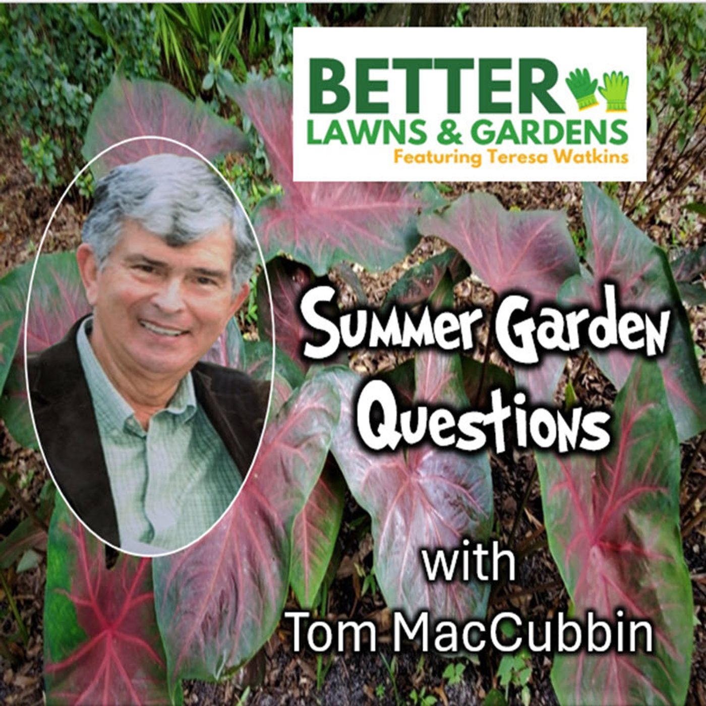 Better Lawns and Gardens - Hour 1 Summer Garden Questions August 2, 2026 episode artwork