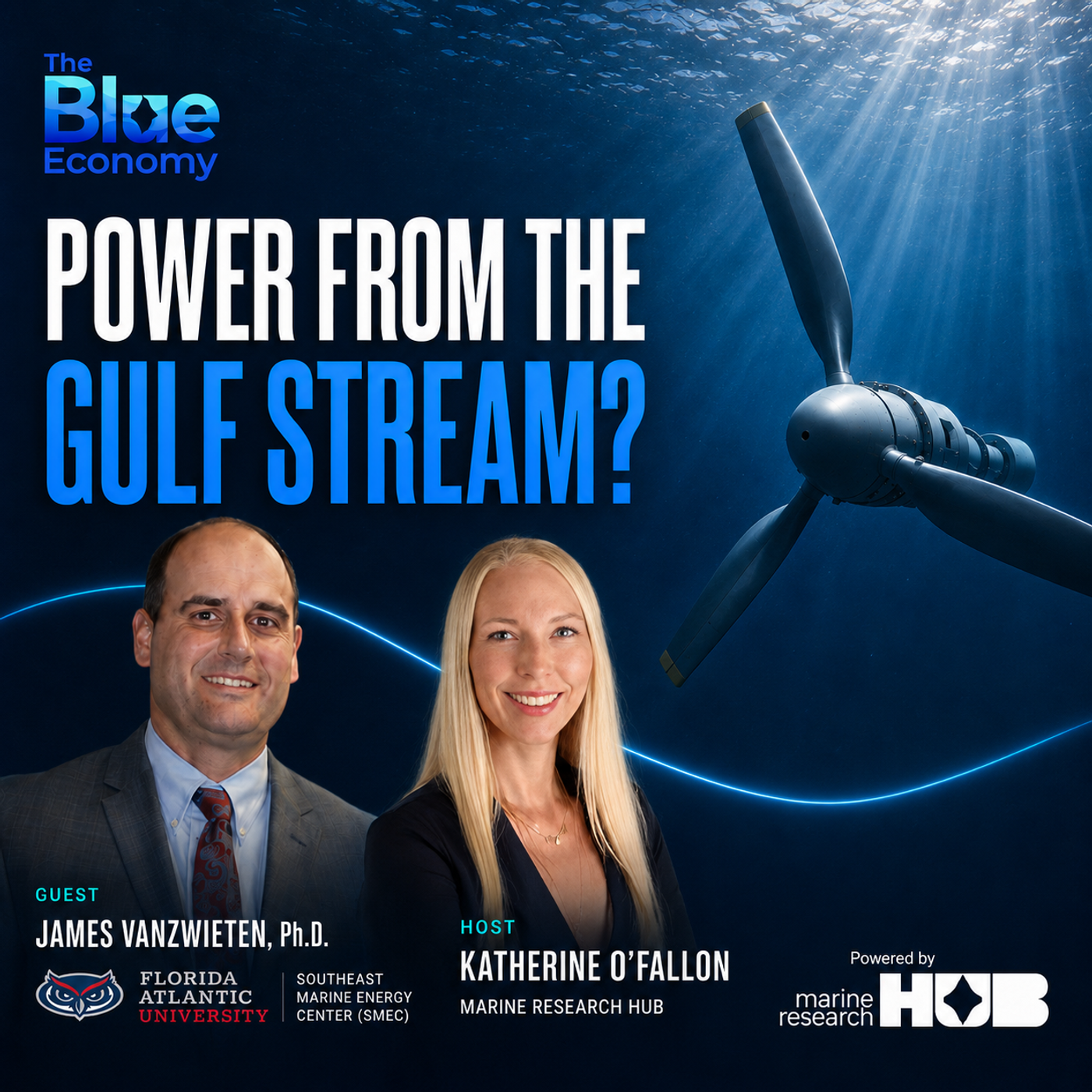 Power from the Gulf Stream? Marine Energy with Dr. James VanZwieten | The Blue Economy episode artwork