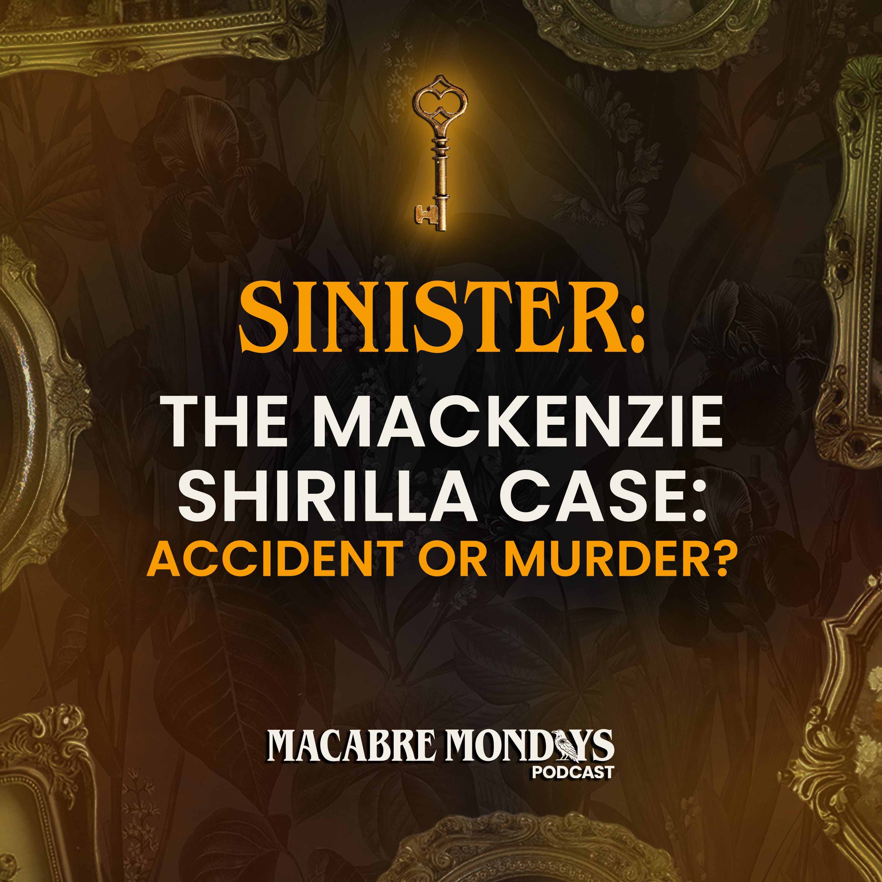 The Mackenzie Shirilla Case: Accident or Murder? episode artwork