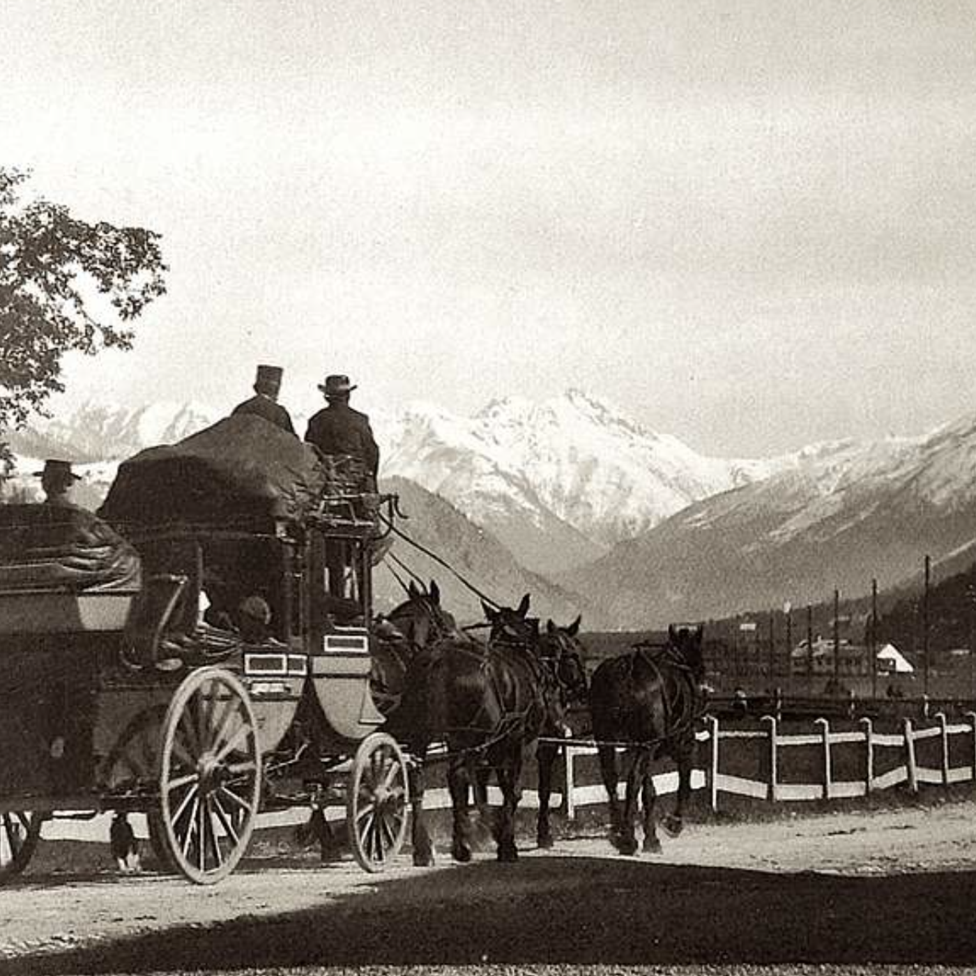 Lorenzo Fiori describes a "disaster" situation in Europe caused by severe drought and record heat, with water restrictions implemented in Swiss towns and critically low levels in northern Italy's Po River. The drought has turned the normally green Alps br