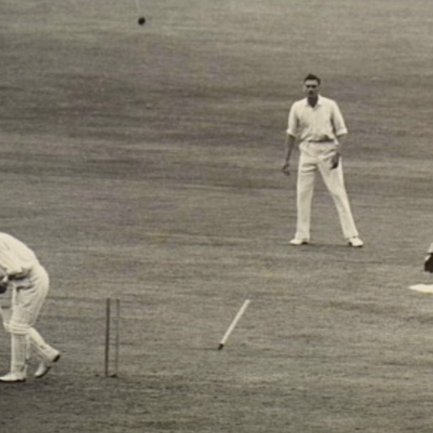 Jeremy Zakis: Jeremy Zakis details the melodrama and unexpected struggles of the Australian cricket team during their series against Bangladesh in Darwin. Despite playing on home soil, the Australians fell significantly behind, leading to visible frustrat