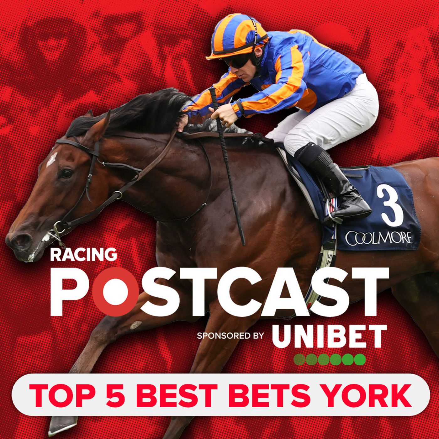 451:  Best Bets for York Ebor Festival | Horse Racing Tips | Top 5 selections