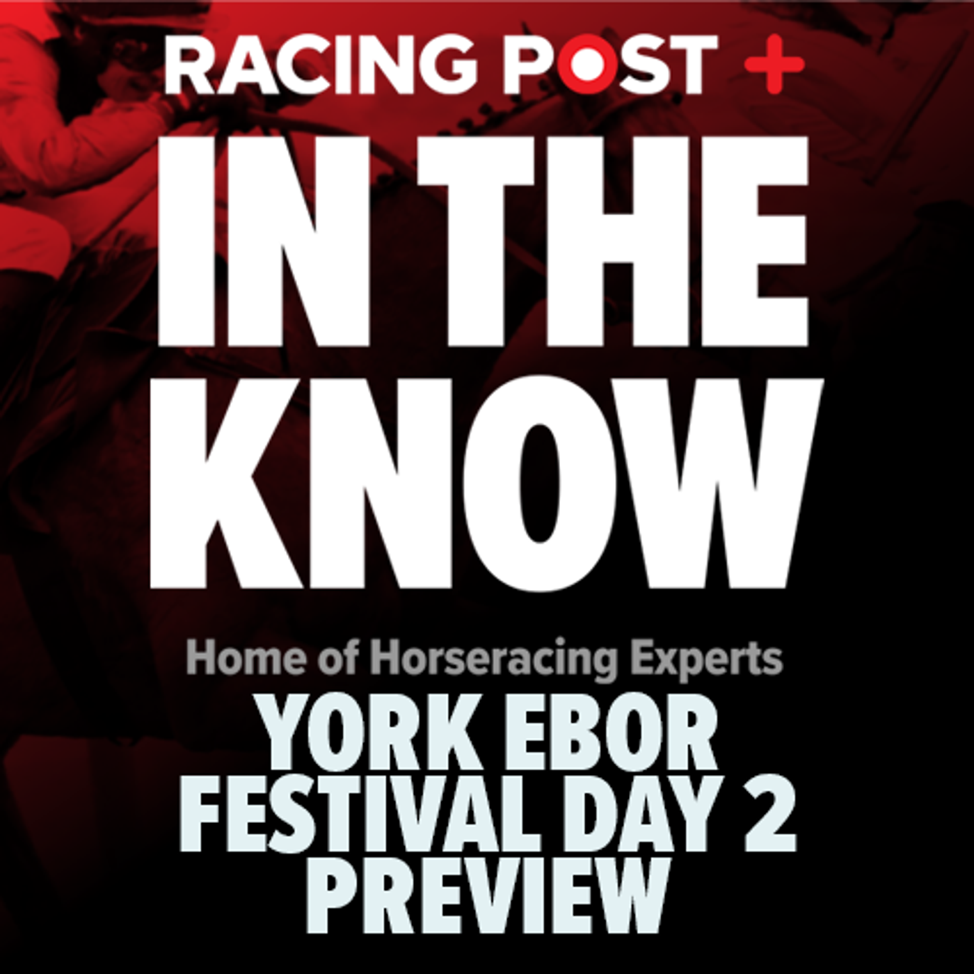 453: York Ebor Festival Day 2 Preview | Paul Kealy & Tom Segal | In The Know episode artwork